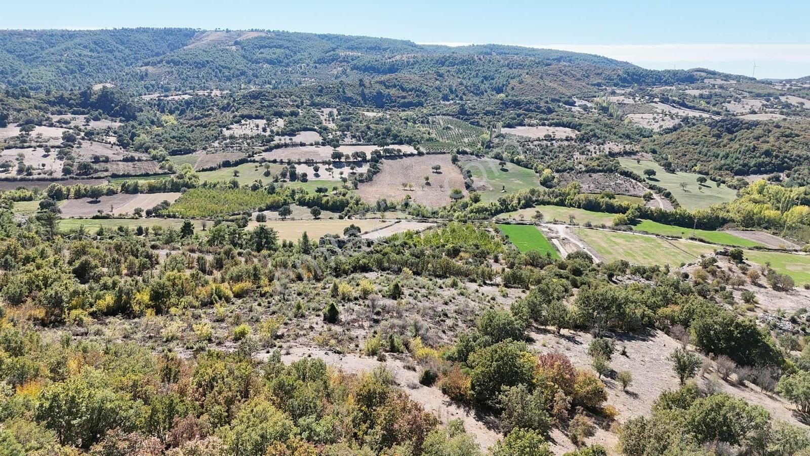 Ayvacık Misvak Kelepir 8100 M2 Doğanın Kalbinde Baraj Manzaralı - Görsel 16