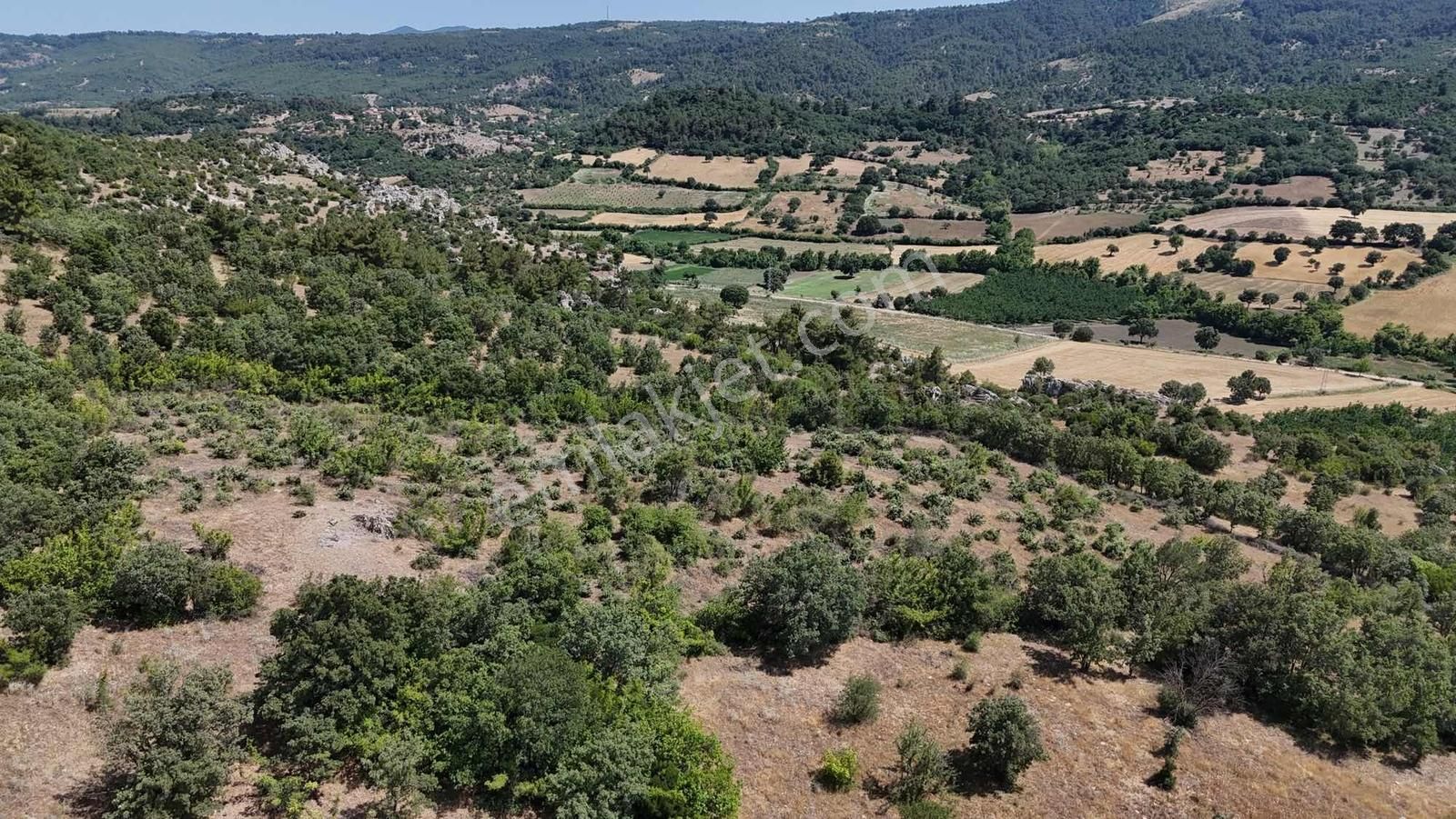 Ayvacık Misvak Kelepir 8100 M2 Doğanın Kalbinde Baraj Manzaralı - Görsel 13