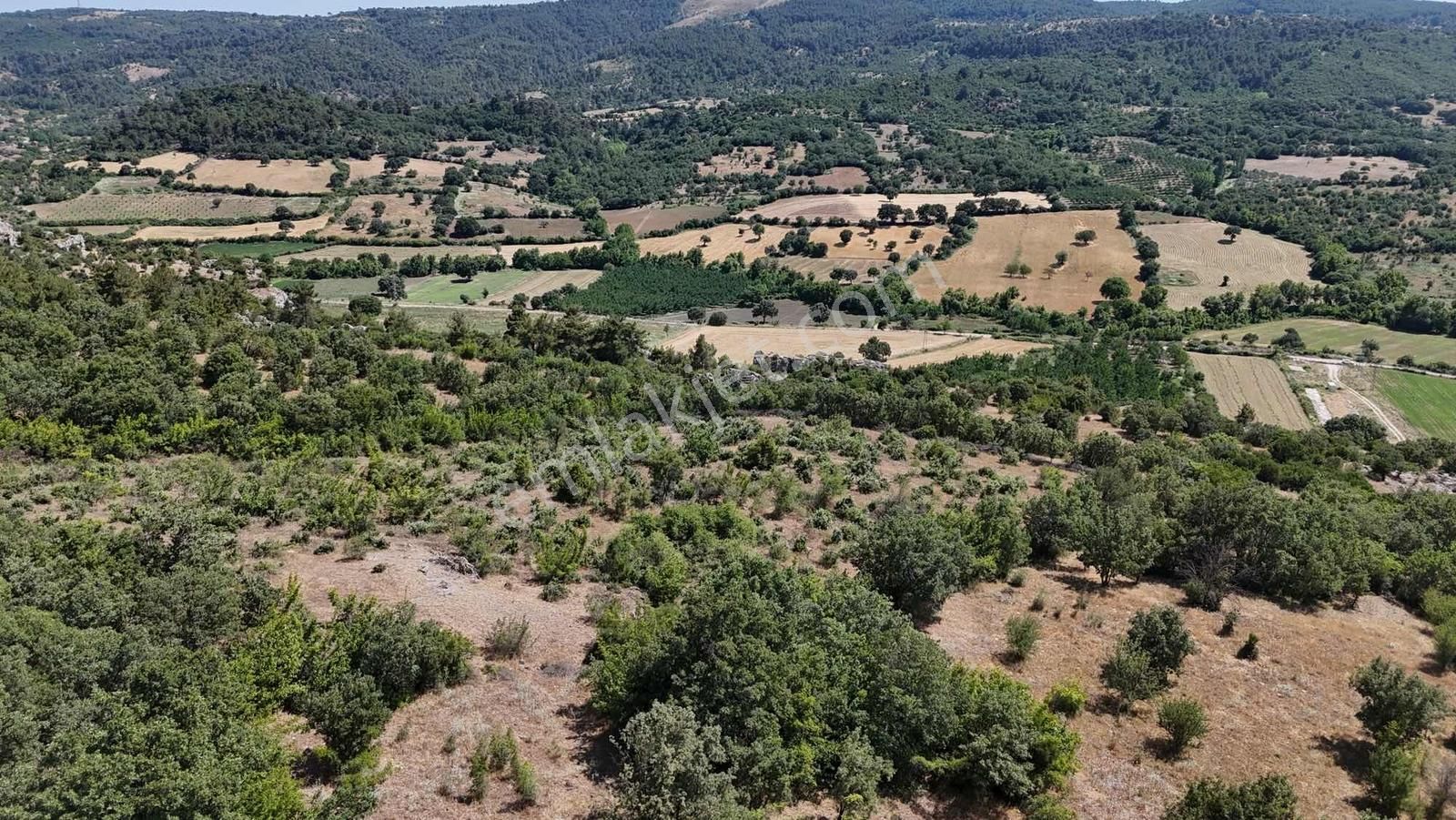 Ayvacık Misvak Kelepir 8100 M2 Doğanın Kalbinde Baraj Manzaralı - Görsel 24