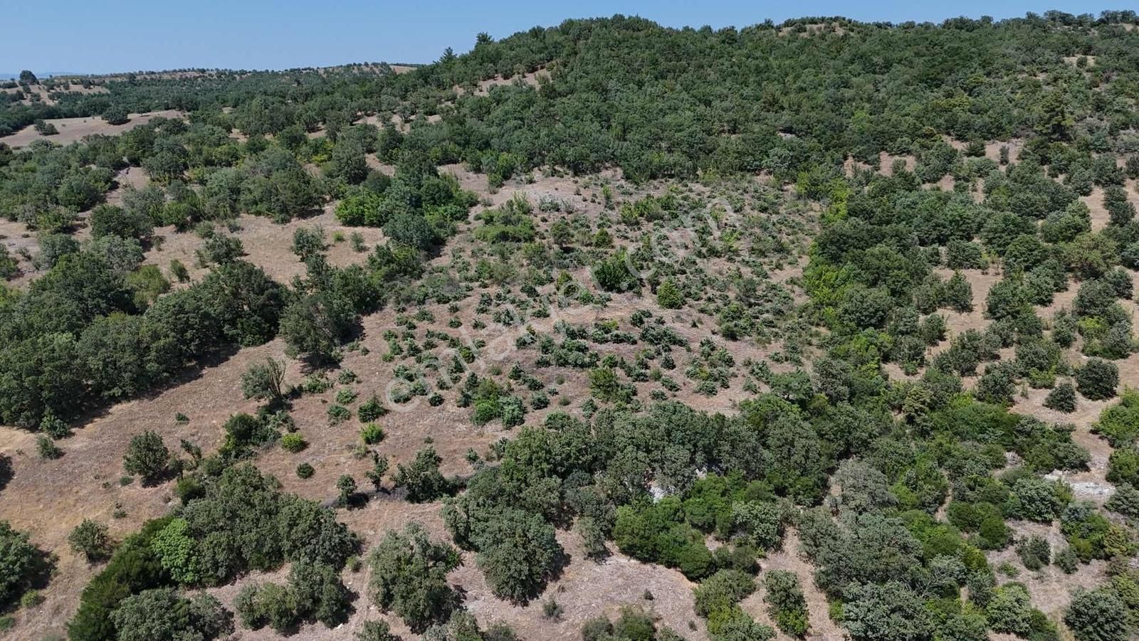 Ayvacık Misvak Kelepir 8100 M2 Doğanın Kalbinde Baraj Manzaralı - Görsel 22