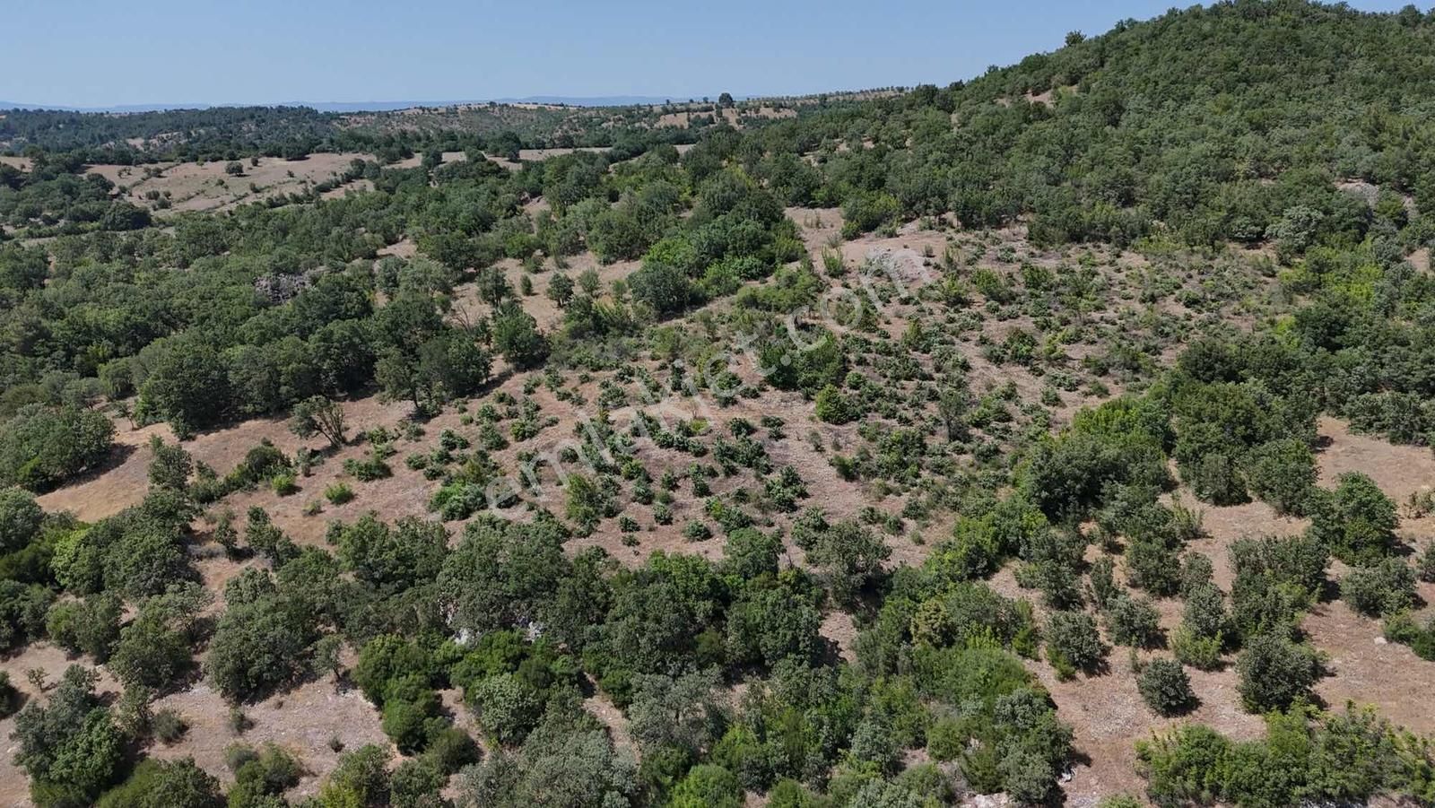 Ayvacık Misvak Kelepir 8100 M2 Doğanın Kalbinde Baraj Manzaralı - Görsel 20