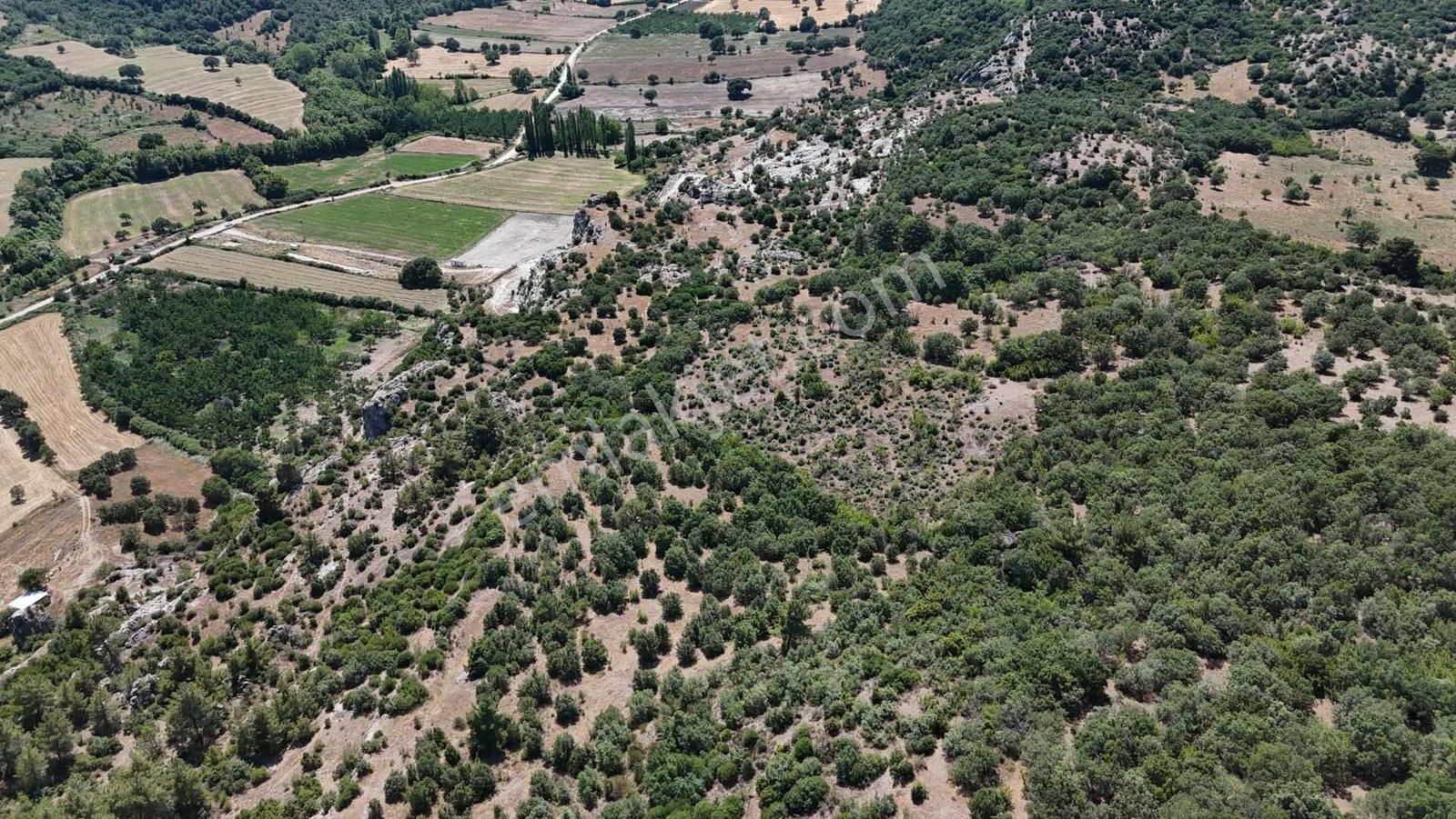 Ayvacık Misvak Kelepir 8100 M2 Doğanın Kalbinde Baraj Manzaralı - Görsel 18