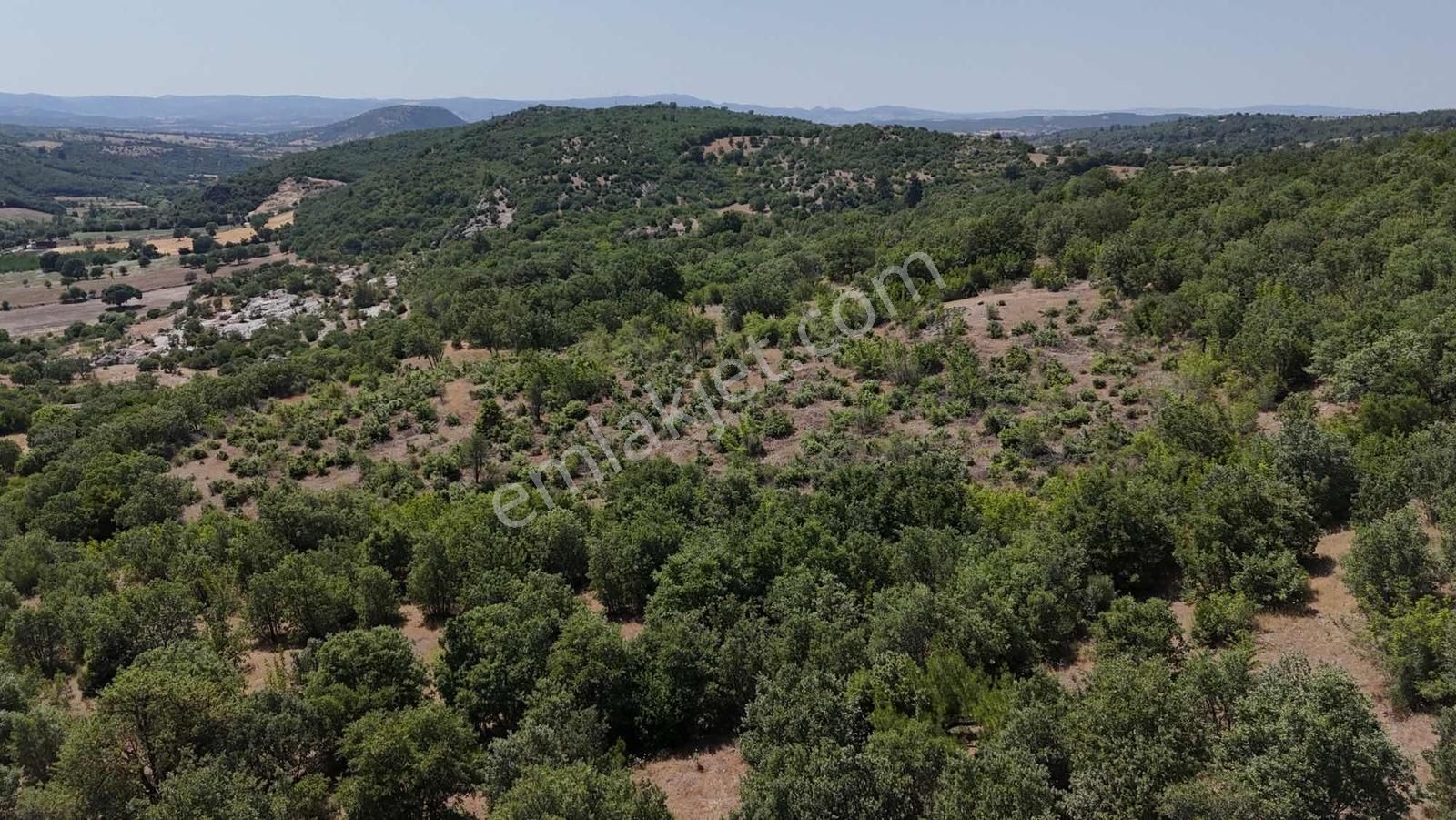 Ayvacık Misvak Kelepir 8100 M2 Doğanın Kalbinde Baraj Manzaralı - Görsel 5