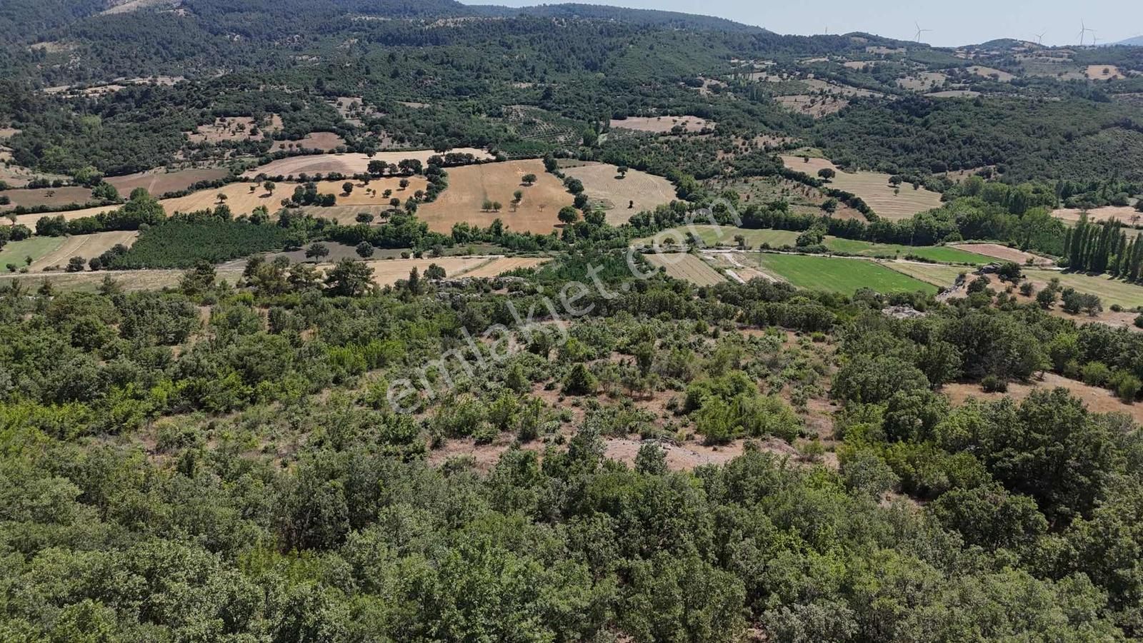 Ayvacık Misvak Kelepir 8100 M2 Doğanın Kalbinde Baraj Manzaralı - Görsel 9