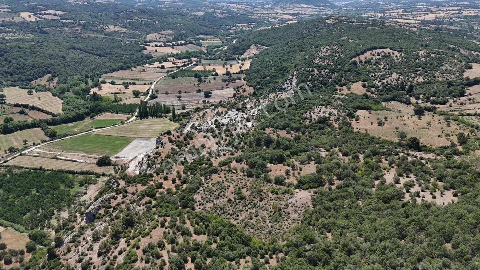 Ayvacık Misvak Kelepir 8100 M2 Doğanın Kalbinde Baraj Manzaralı - Görsel 3