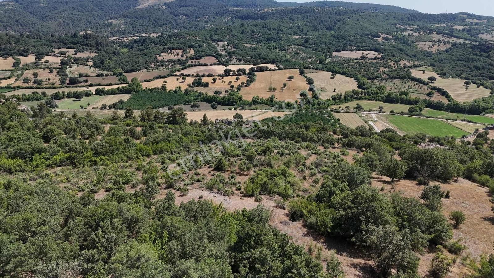 Ayvacık Misvak Kelepir 8100 M2 Doğanın Kalbinde Baraj Manzaralı - Görsel 23