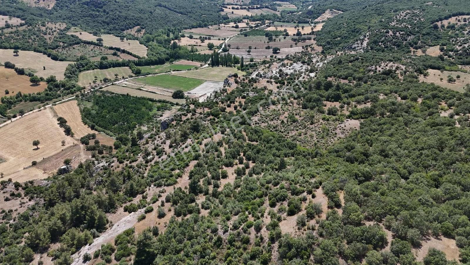 Ayvacık Misvak Kelepir 8100 M2 Doğanın Kalbinde Baraj Manzaralı - Görsel 4
