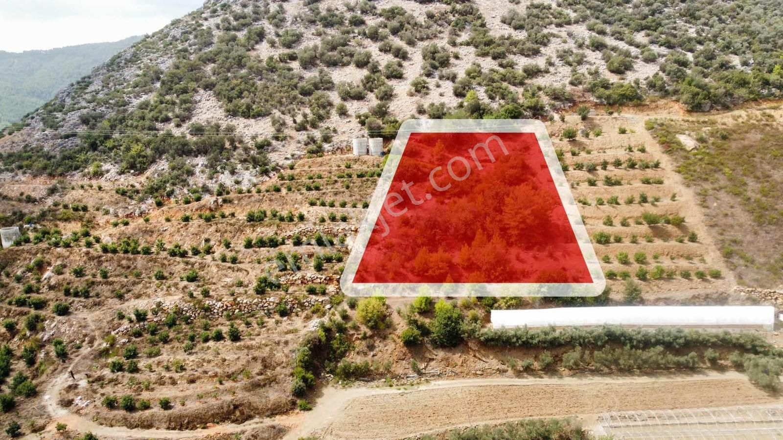 Avakado Ve Tropikal Bahçe Yapımına Uygun Satılık Tarla - Görsel 8