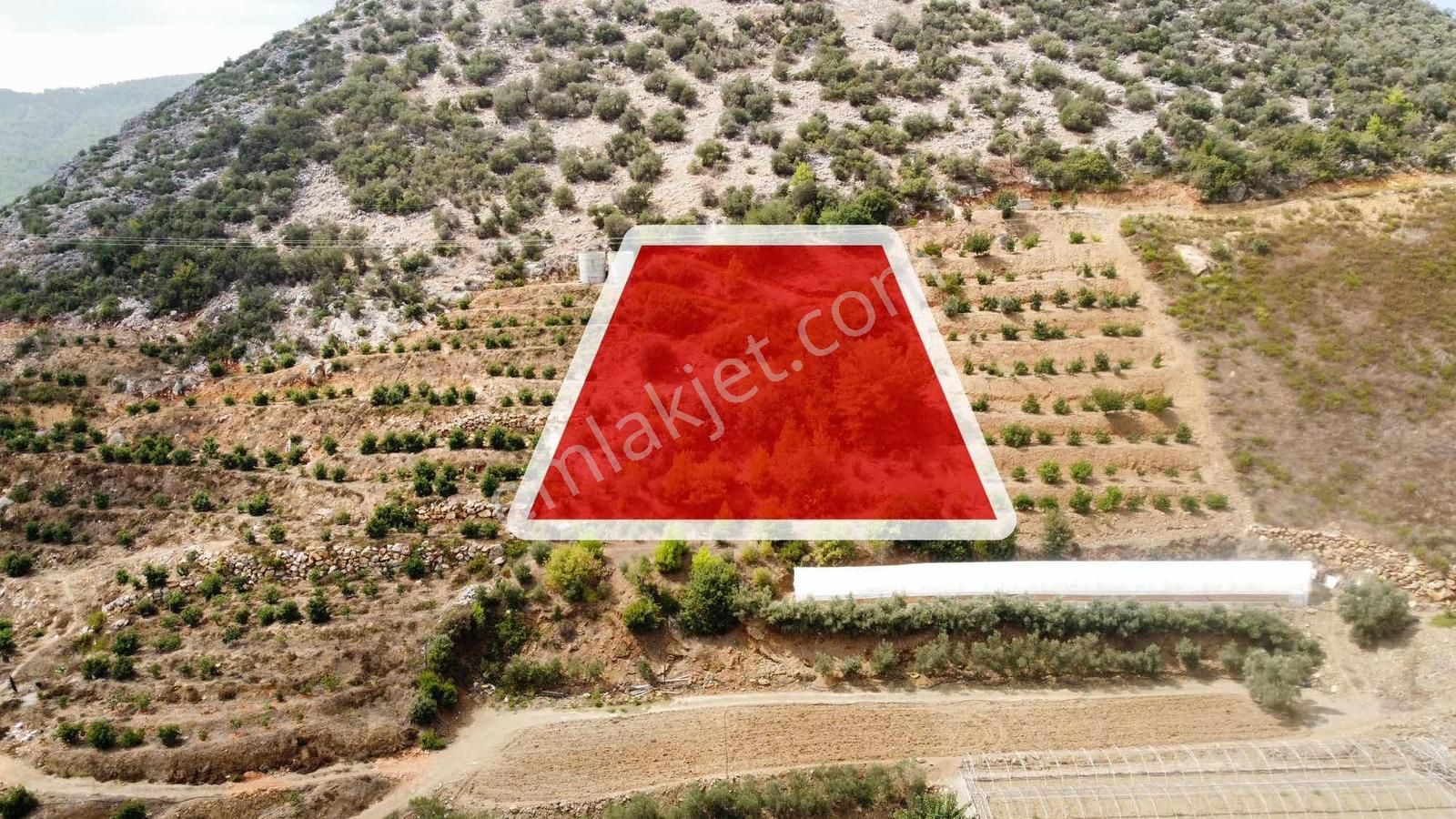 Avakado Ve Tropikal Bahçe Yapımına Uygun Satılık Tarla - Görsel 7