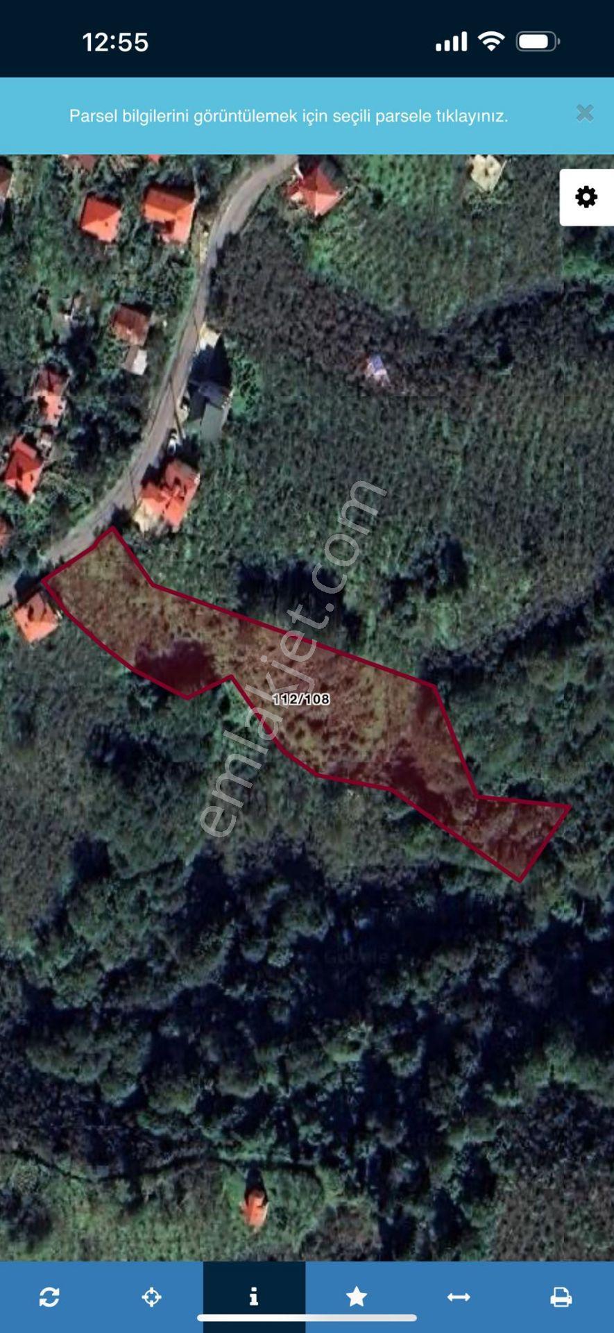 İnanç Emlaktan Giresun Camili Köyünde 4.848 M2 Satılık Fındık Bahçesi - Görsel 16
