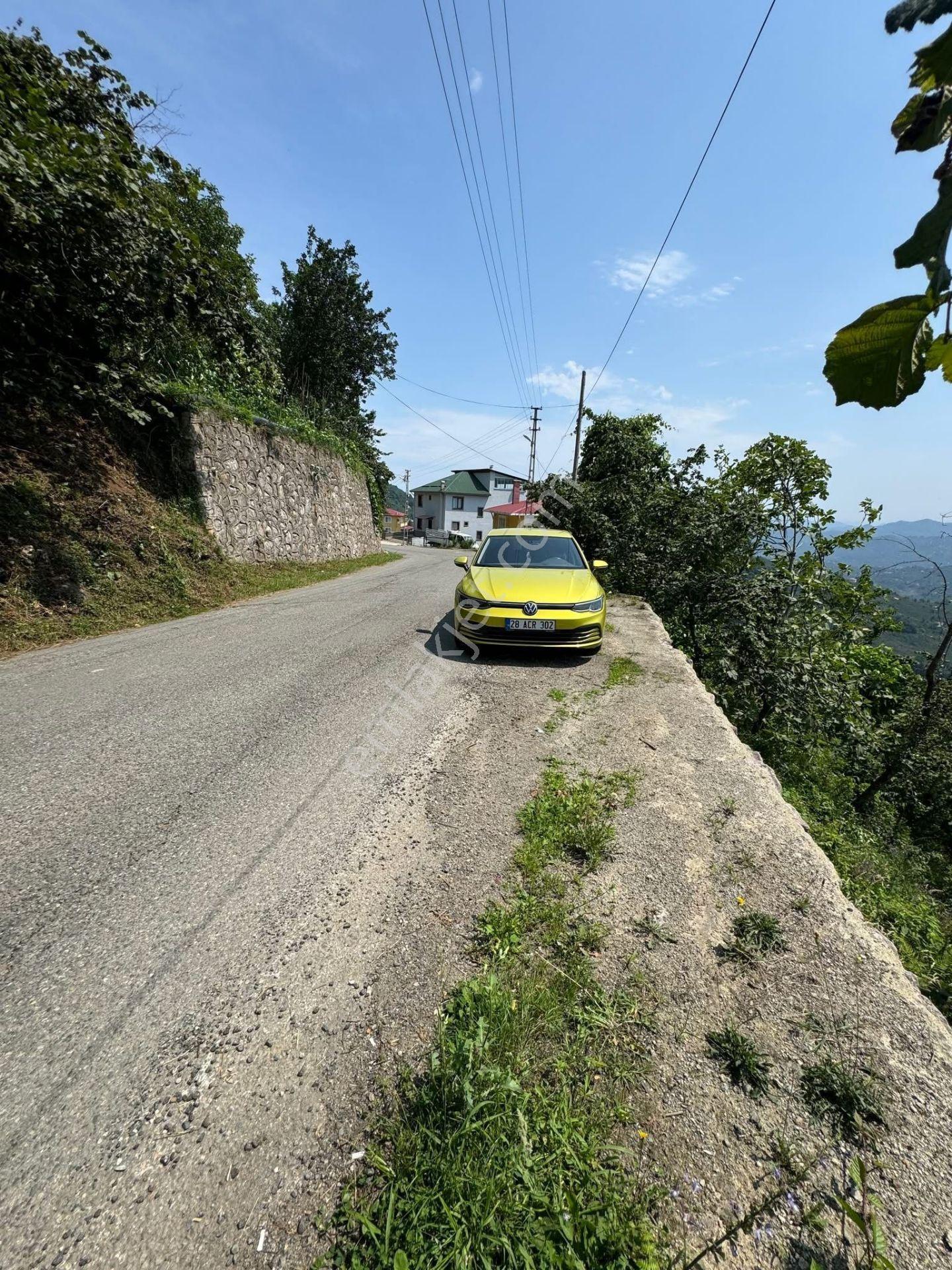 İnanç Emlaktan Giresun Camili Köyünde 4.848 M2 Satılık Fındık Bahçesi - Görsel 6