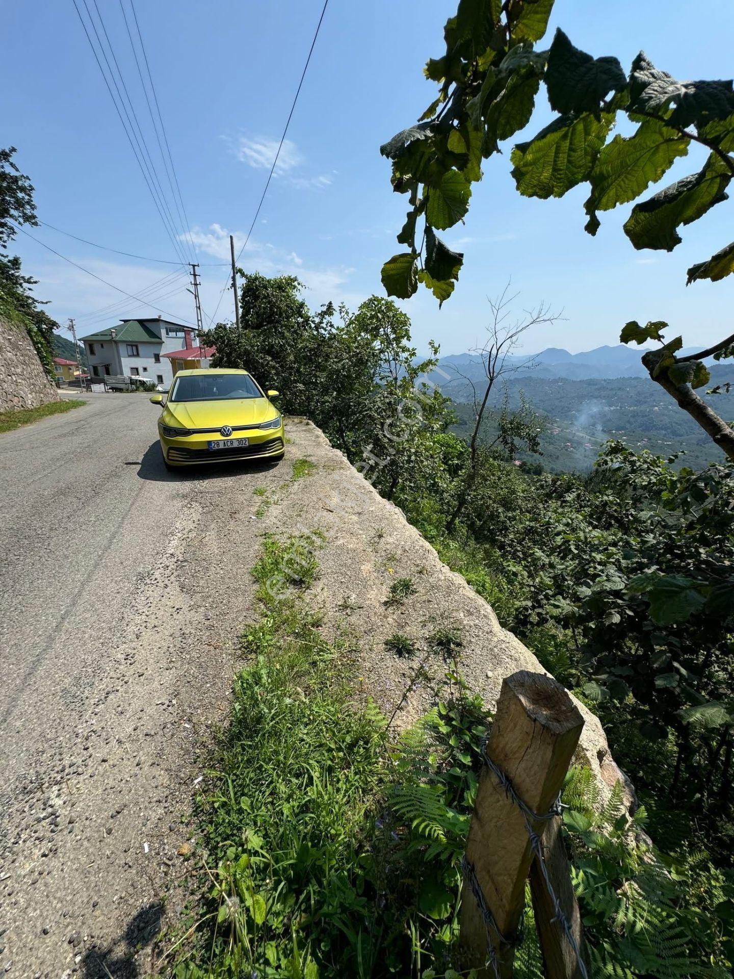 İnanç Emlaktan Giresun Camili Köyünde 4.848 M2 Satılık Fındık Bahçesi - Görsel 5