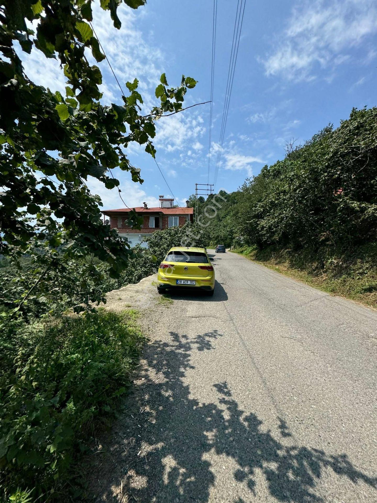 İnanç Emlaktan Giresun Camili Köyünde 4.848 M2 Satılık Fındık Bahçesi - Görsel 10
