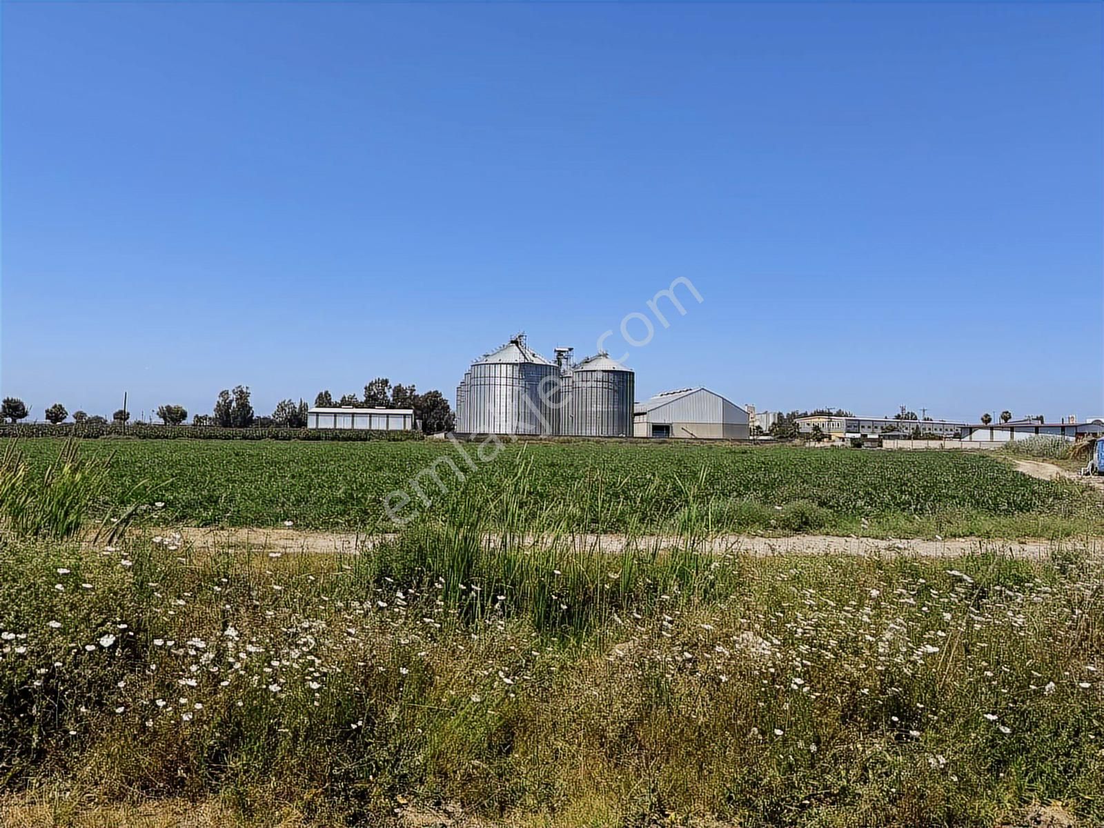 Adahan'dan Ana Yola 2. Parsel Yenicede Fabrika Ve Sera Arsası - Görsel 4