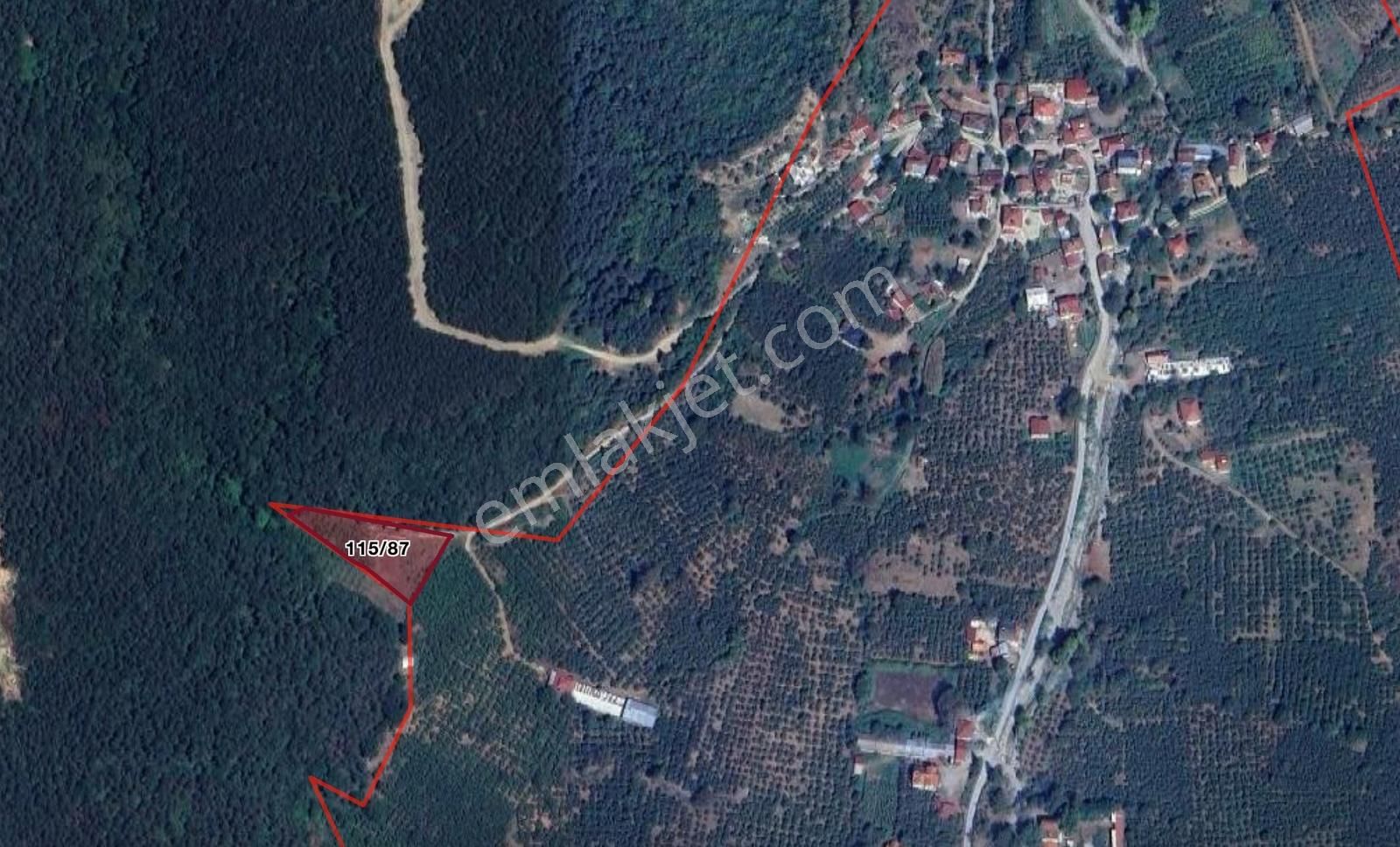 Sakarya Akyazı Dedeler Mh. Satılık 2812 M2 Fındık Bahçesi - Görsel 3