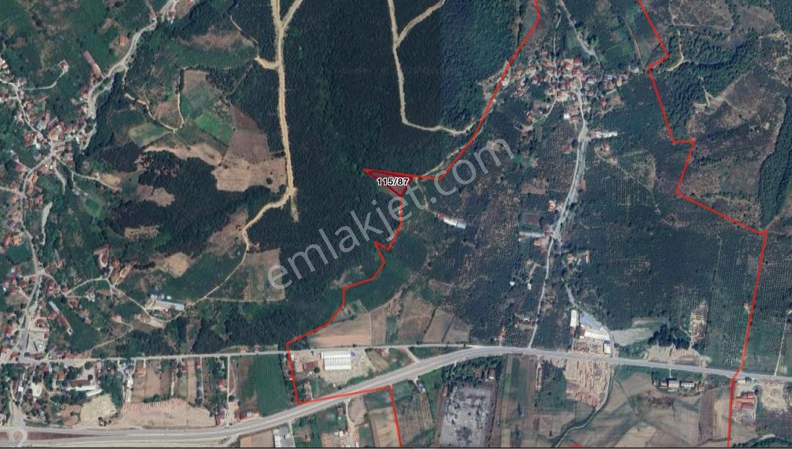 Sakarya Akyazı Dedeler Mh. Satılık 2812 M2 Fındık Bahçesi - Görsel 2