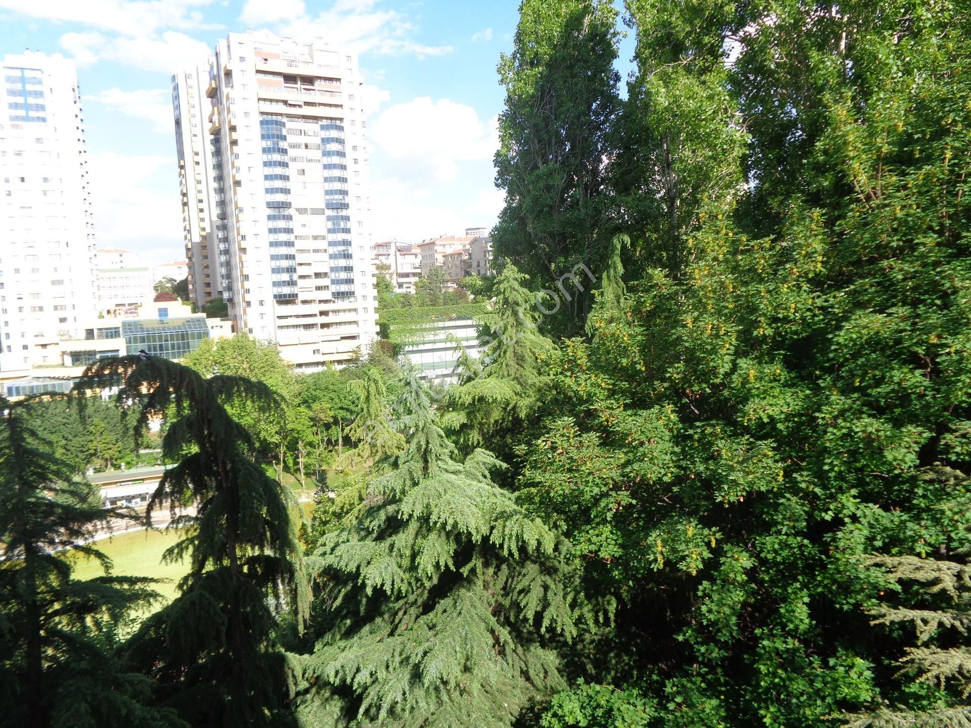 Dikmen Vadievlerinde , 2+1, 1. Katta, Bakımlı, Cumbalı,manzaralı.... - Görsel 12