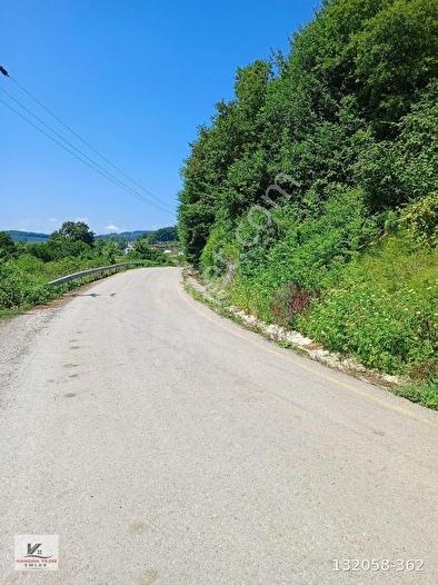 Kandıra Hacı Şeyh Köyünde 2.125 M2 Çiflik İmarlı Asfalt Cepheli - Görsel 17