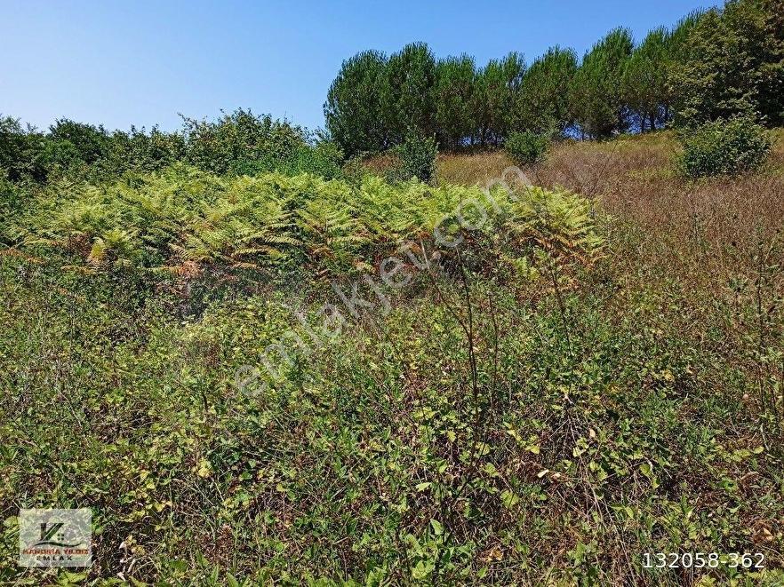 Kandıra Hacı Şeyh Köyünde 2.125 M2 Çiflik İmarlı Asfalt Cepheli - Görsel 8