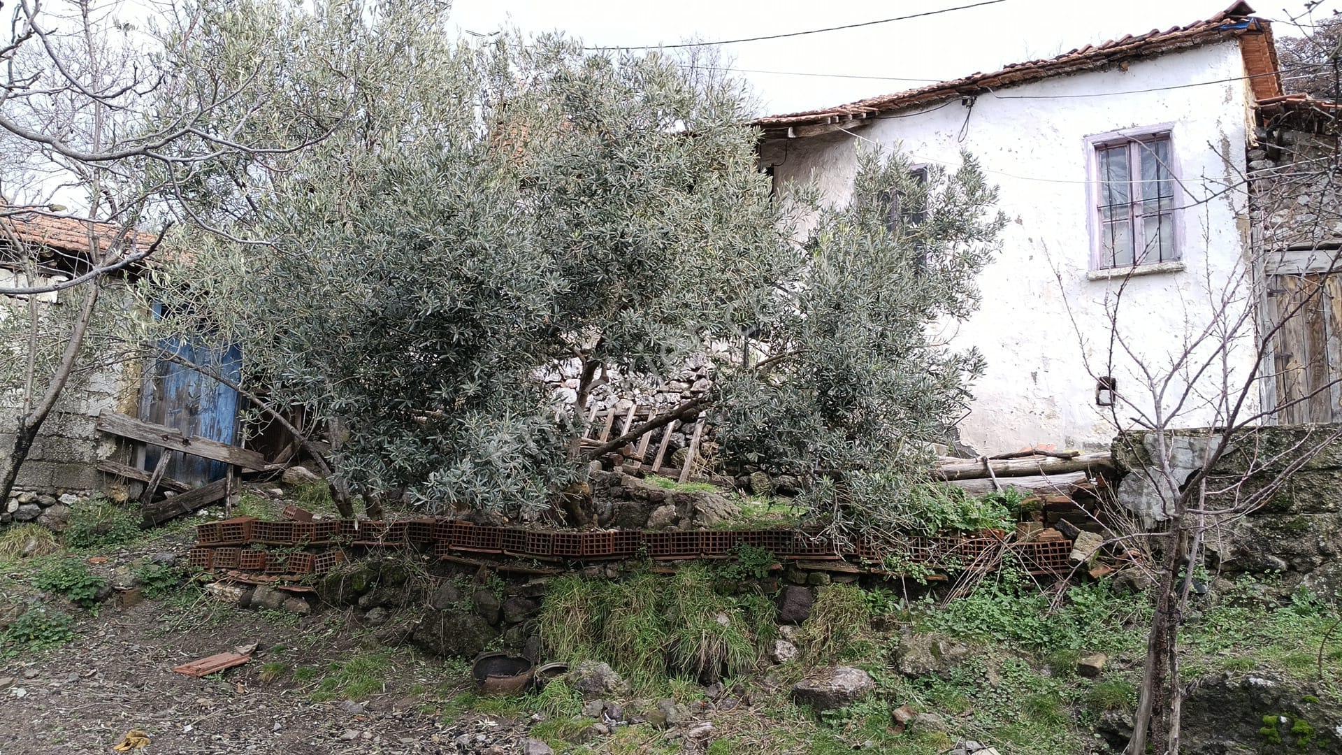 Karalar Köyünde 588 M2 Oturulabilir Müstakil Köy Evi - Görsel 14