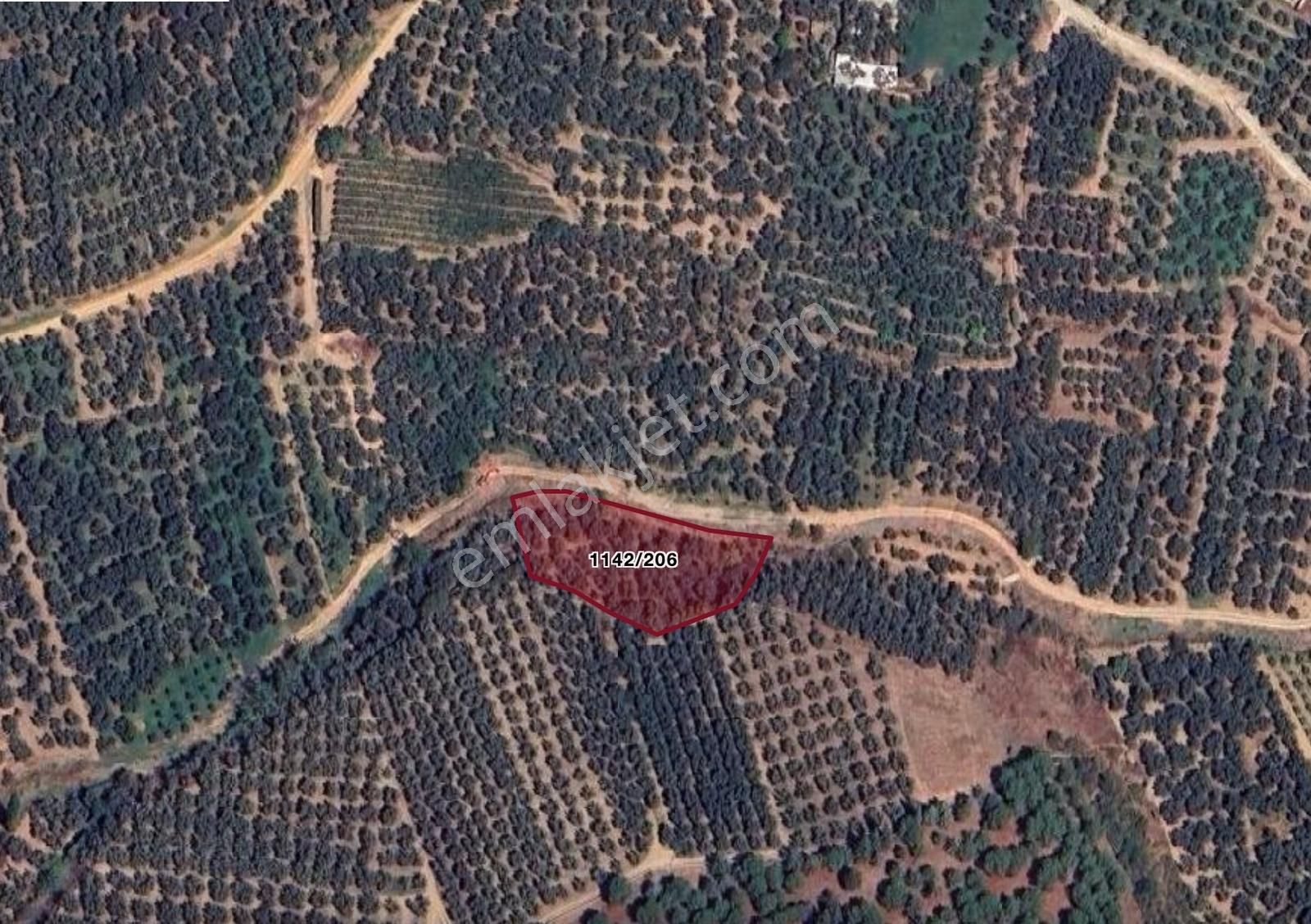 İznik Elbeyli'de Yola Cephe 2045 M2 Satılık Zeytinlik - Görsel 4