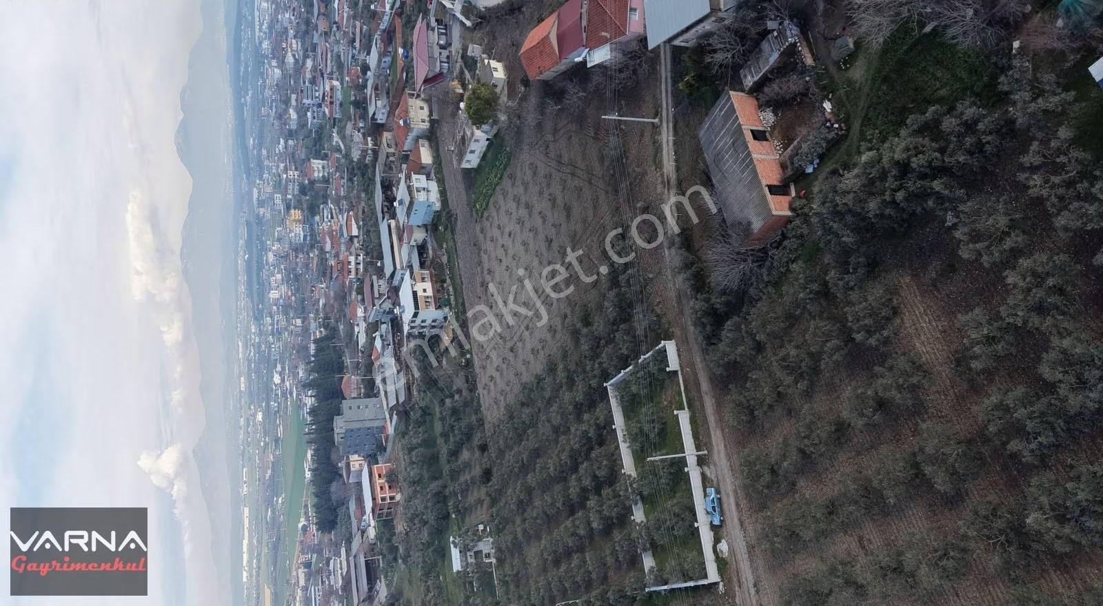 Menderes Oğlananası Satılık 713 M2 Köy İçi Tek Müstakil Arsa - Görsel 21