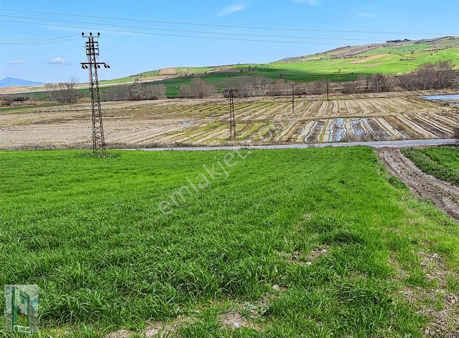 Gönen Biga Ana Asfaltında Satılık 3 Dönüm Tarla