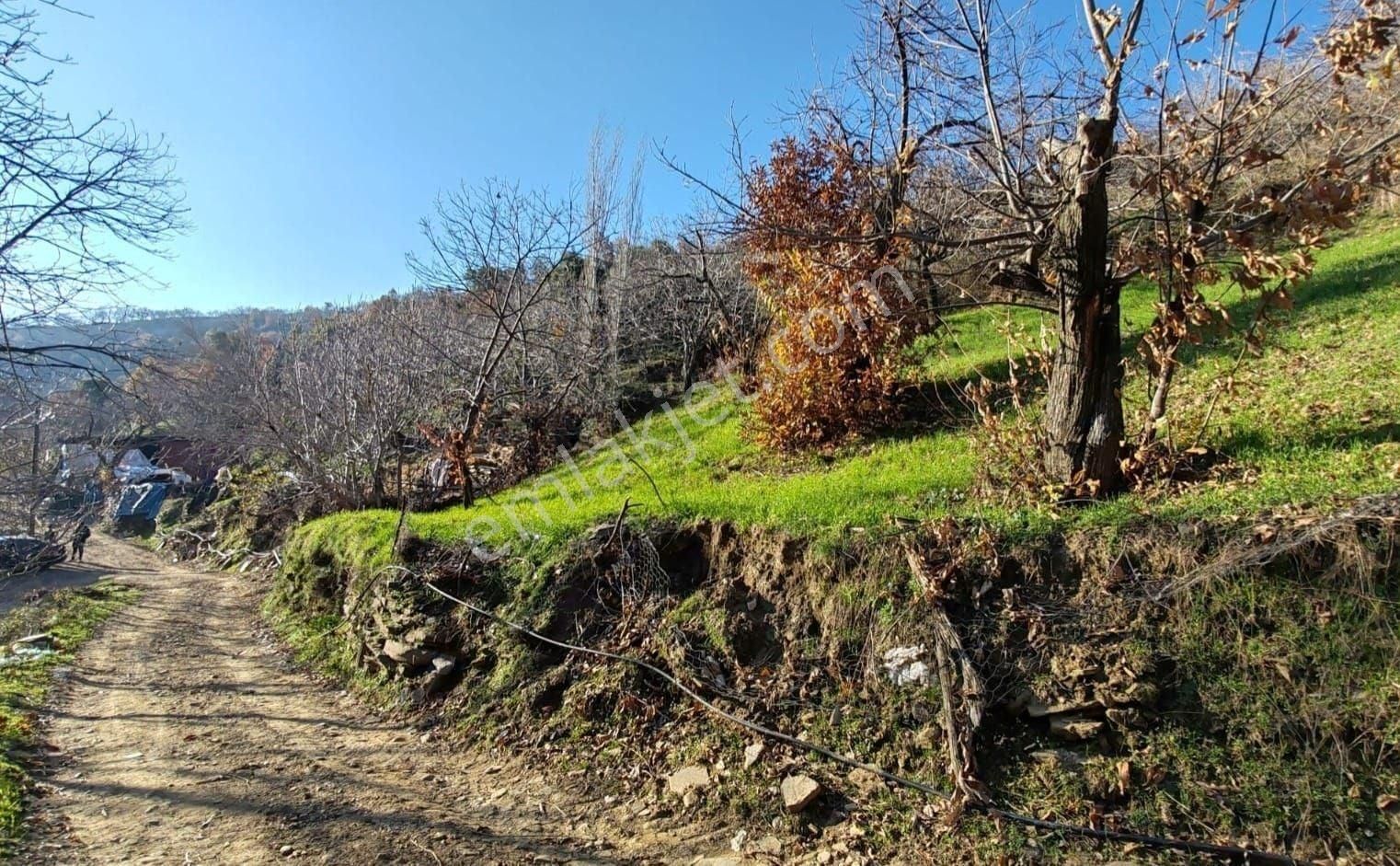 Tire Küçükkemerdere'de Yatırımlık 638 M² Konut İmarlı Arsa, Ana Yola Yak İmarlı Arsa, Ana Yola Yakın - Görsel 4