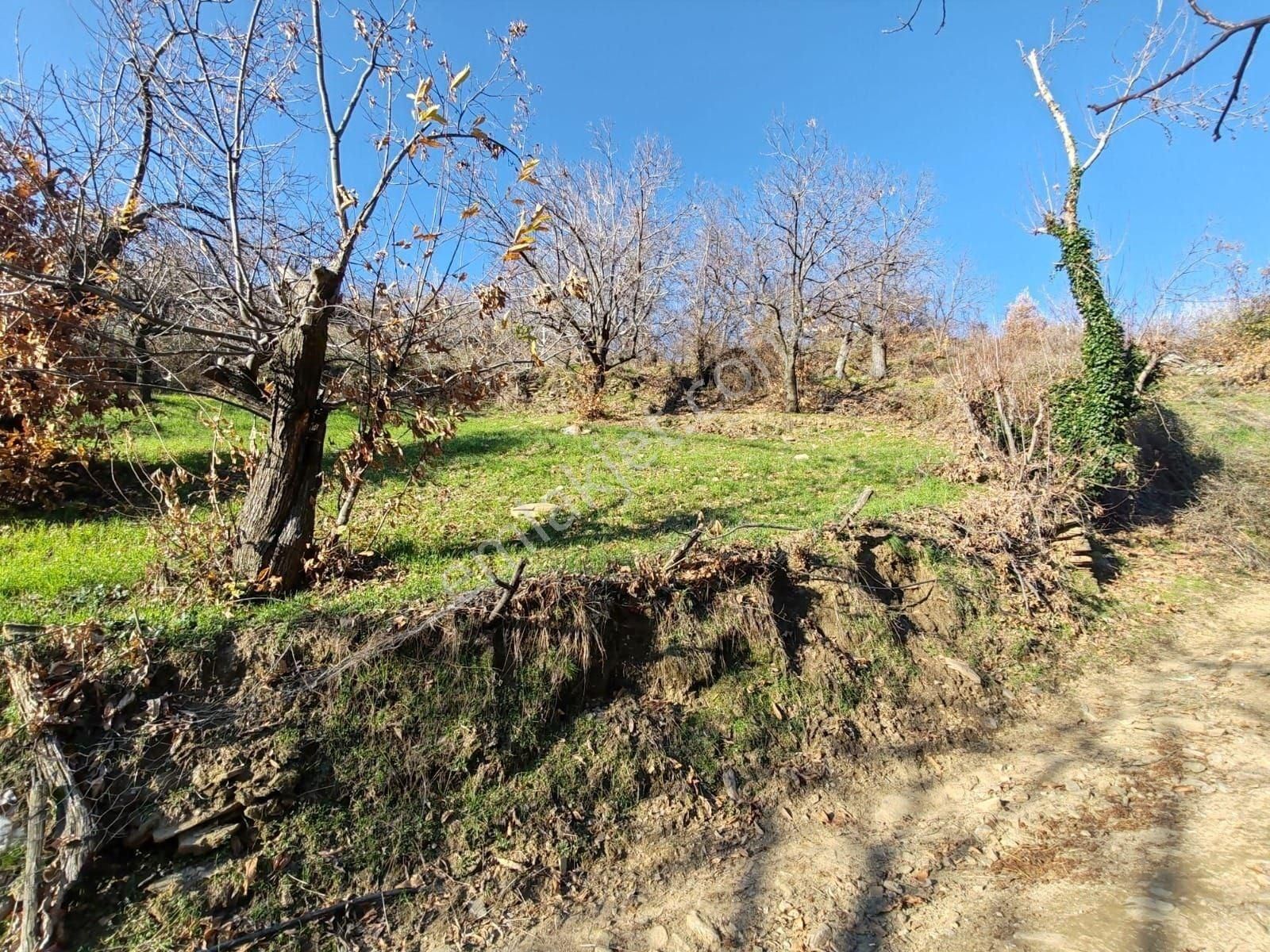 Tire Küçükkemerdere'de Yatırımlık 638 M² Konut İmarlı Arsa, Ana Yola Yak İmarlı Arsa, Ana Yola Yakın - Görsel 7