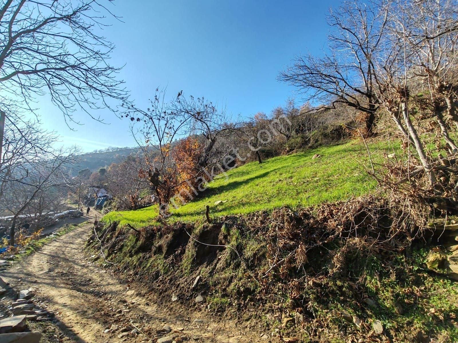 Tire Küçükkemerdere'de Yatırımlık 638 M² Konut İmarlı Arsa, Ana Yola Yak İmarlı Arsa, Ana Yola Yakın - Görsel 8