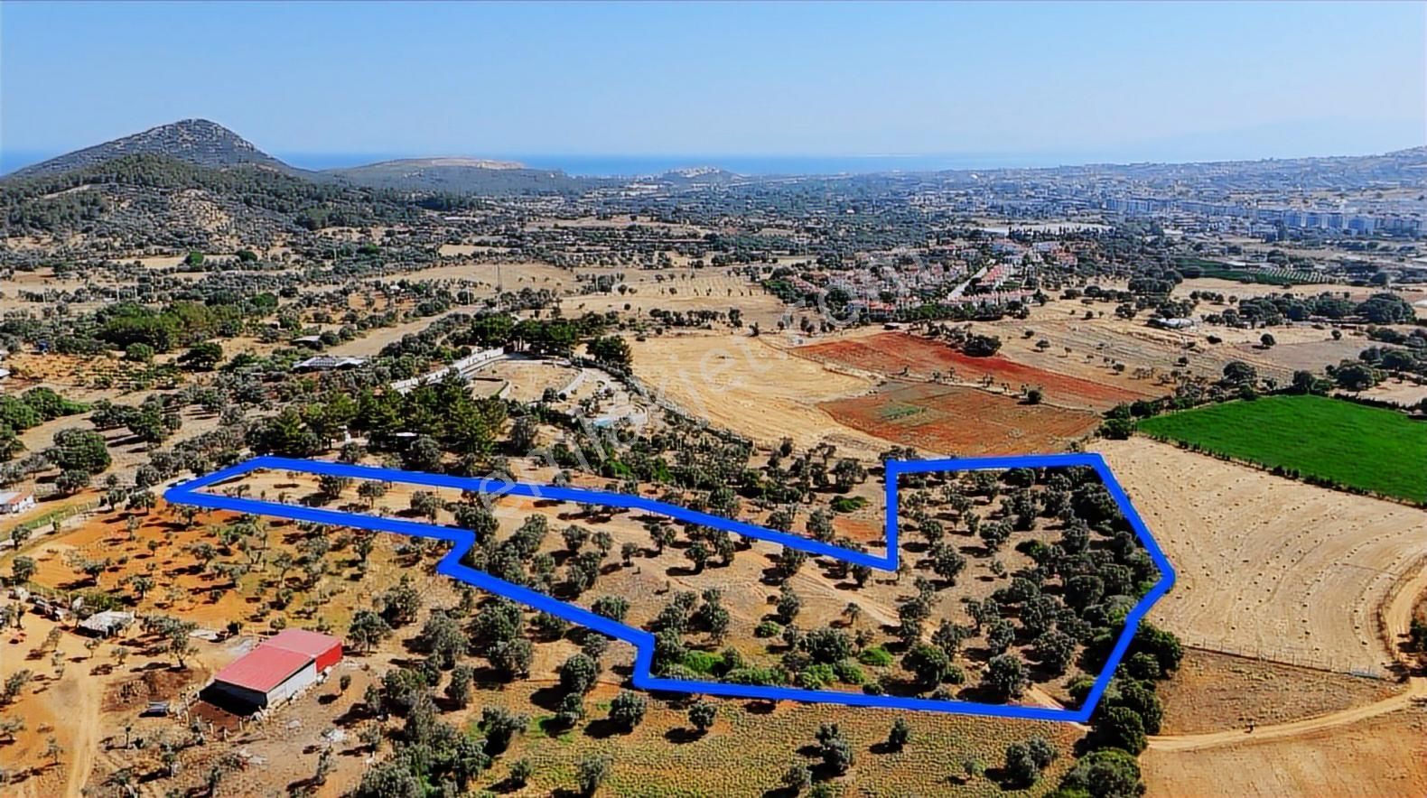 Ambarcı'dan Yelki'de Fırsat Satılık 16 Dönüm Arazi/tarla - Görsel 3