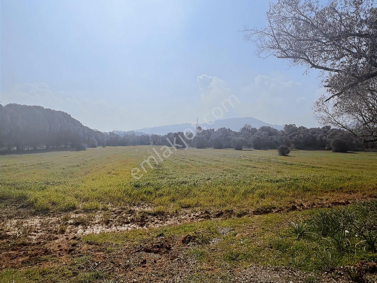 Ambarcı'dan Yelkide Resmî Yola Cepheli Satılık Tarla - Görsel 3