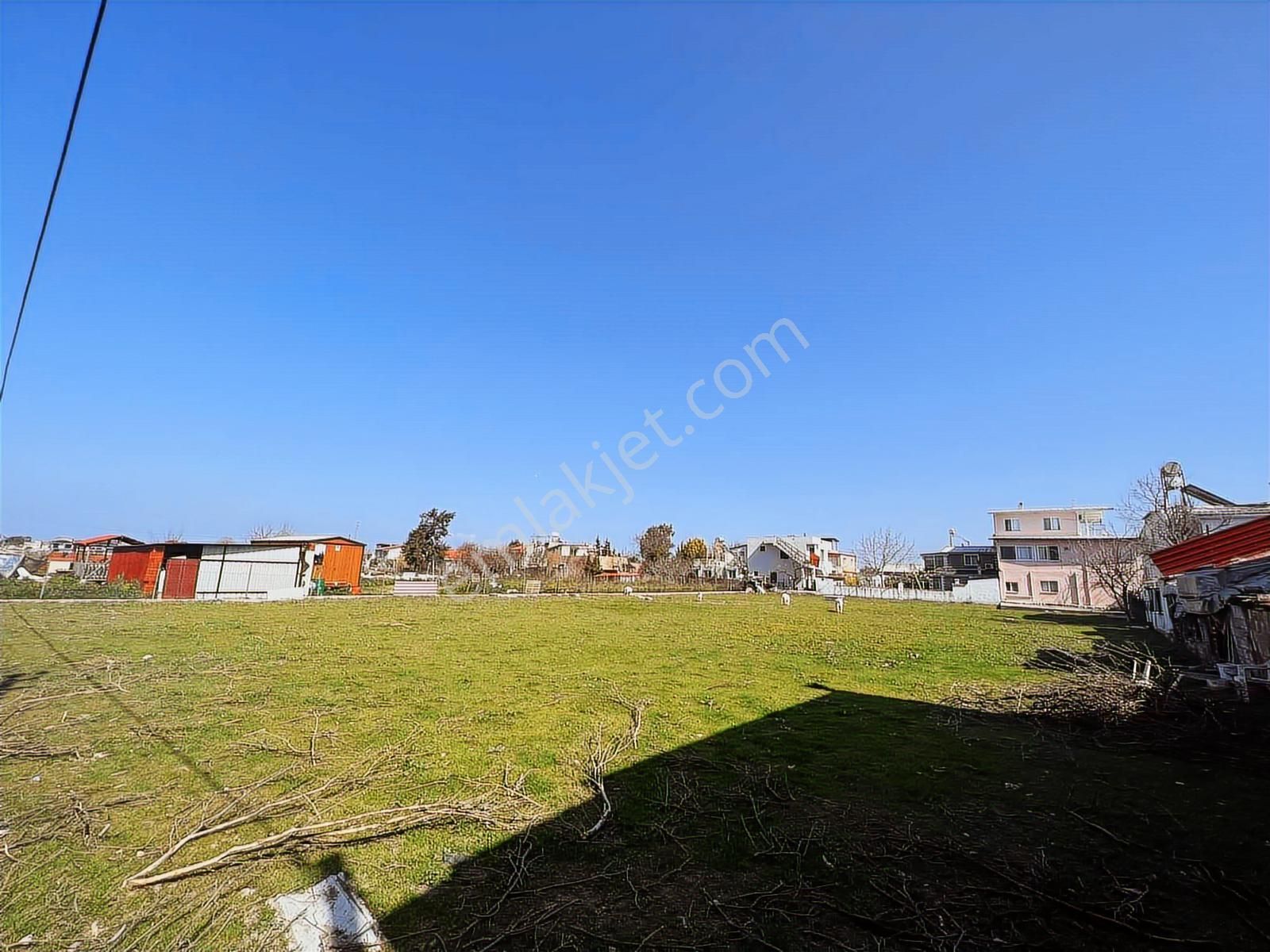 Ambarcı'dan Kum Denizi Yakınında Satılık Tarla