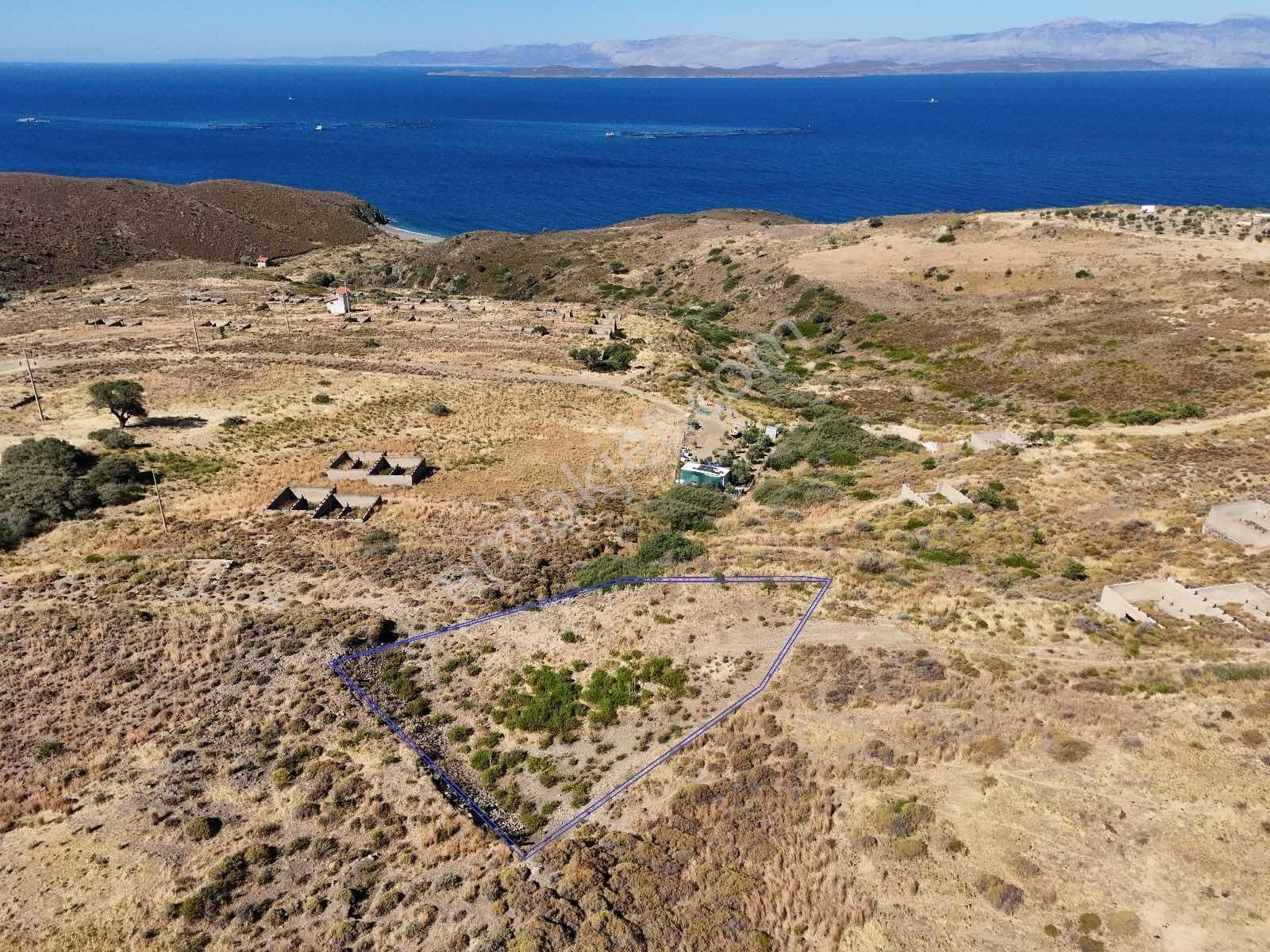 Ambarcı'dan Karadurun Küçükbahçede Satılık Tarla