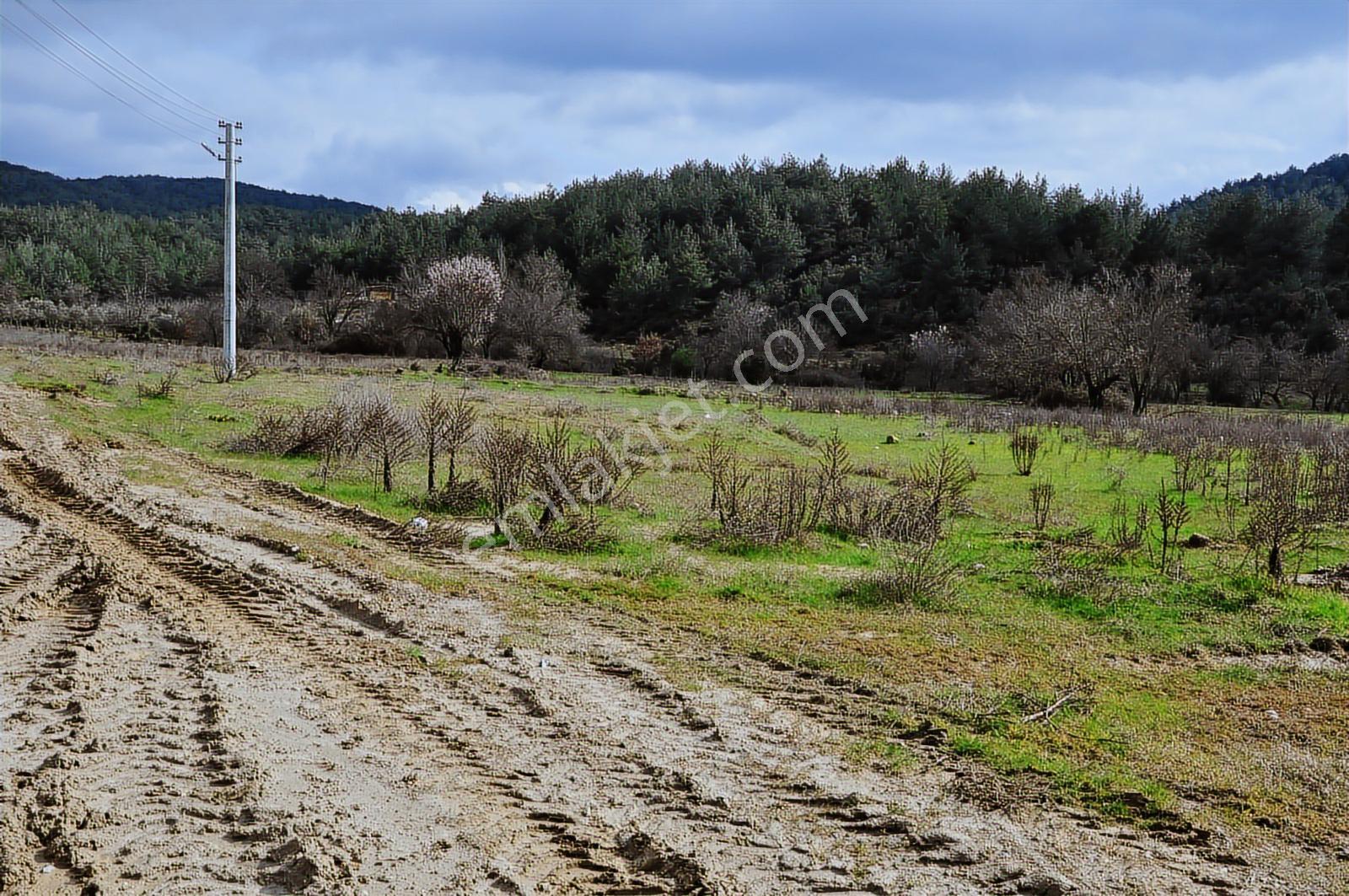 Muğla Menteşe Yeniköy'de Satılık Villa Arsası - Görsel 23