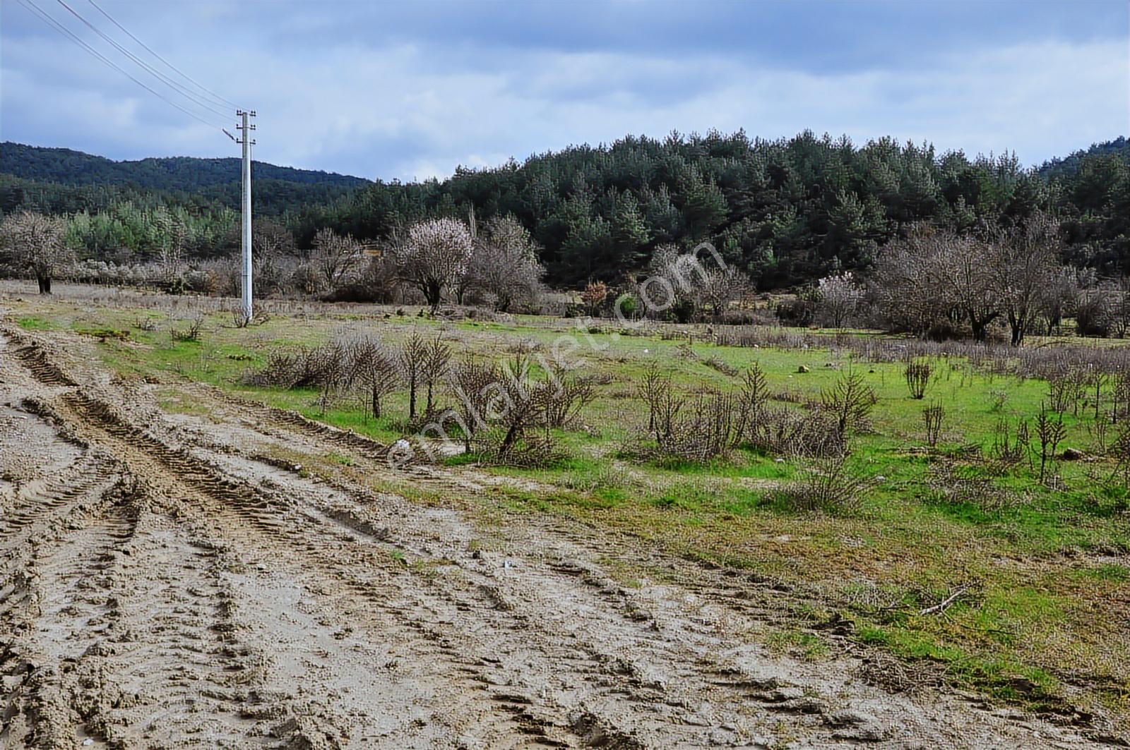 Muğla Menteşe Yeniköy'de Satılık Villa Arsası - Görsel 18