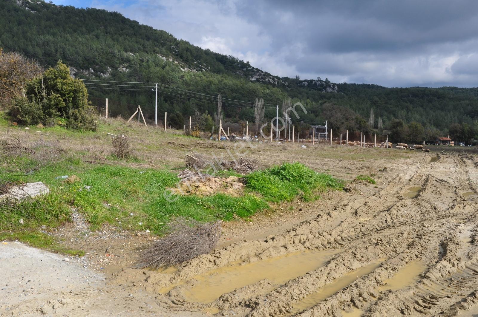 Muğla Menteşe Yeniköy'de Satılık Villa Arsası - Görsel 35