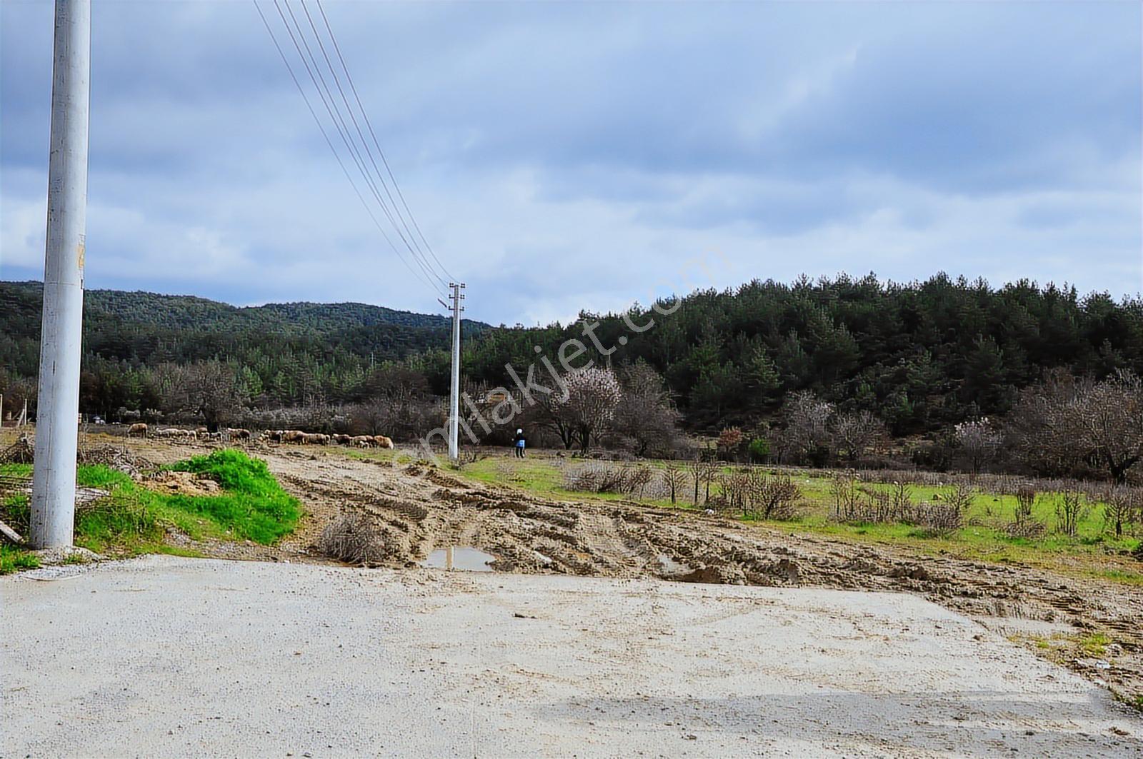 Muğla Menteşe Yeniköy'de Satılık Villa Arsası