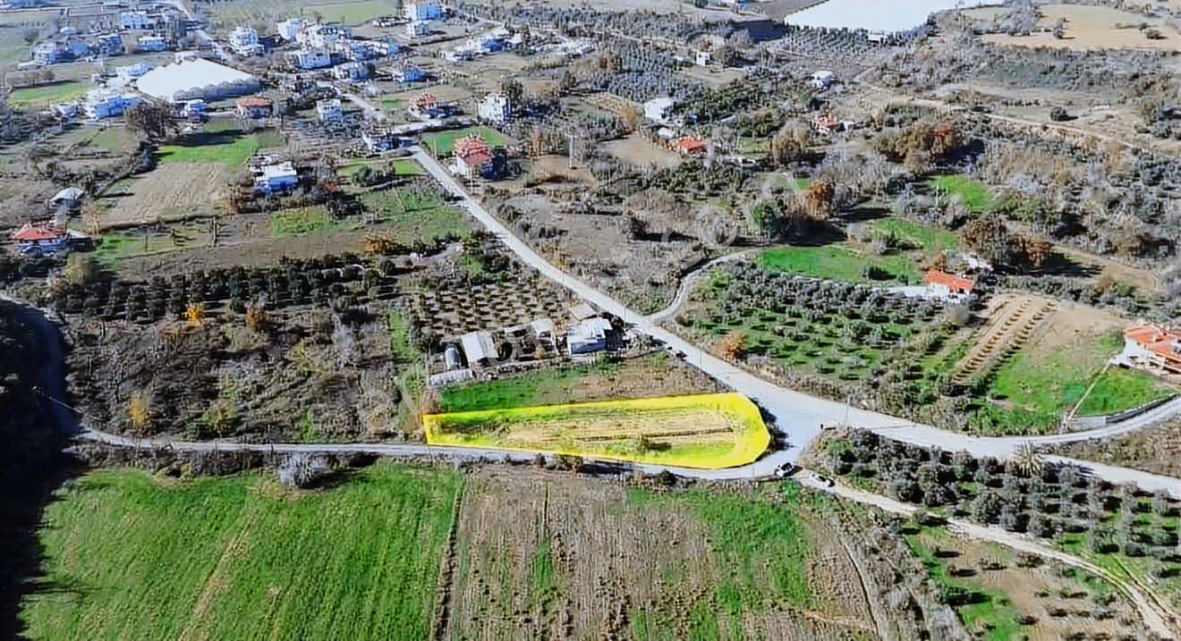 Hem Yatırımlık Hem Kullanımlık | Demirciler Köy İçi 300 M² Tarla