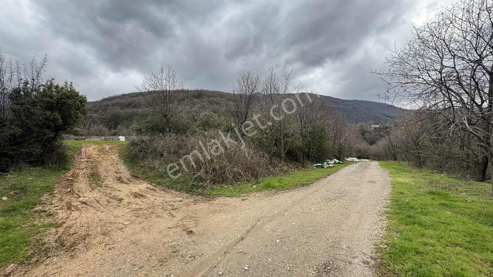 Alven Real Estate Şehir Merkezinde Manzaralı 332m2 Fırsat - Görsel 2