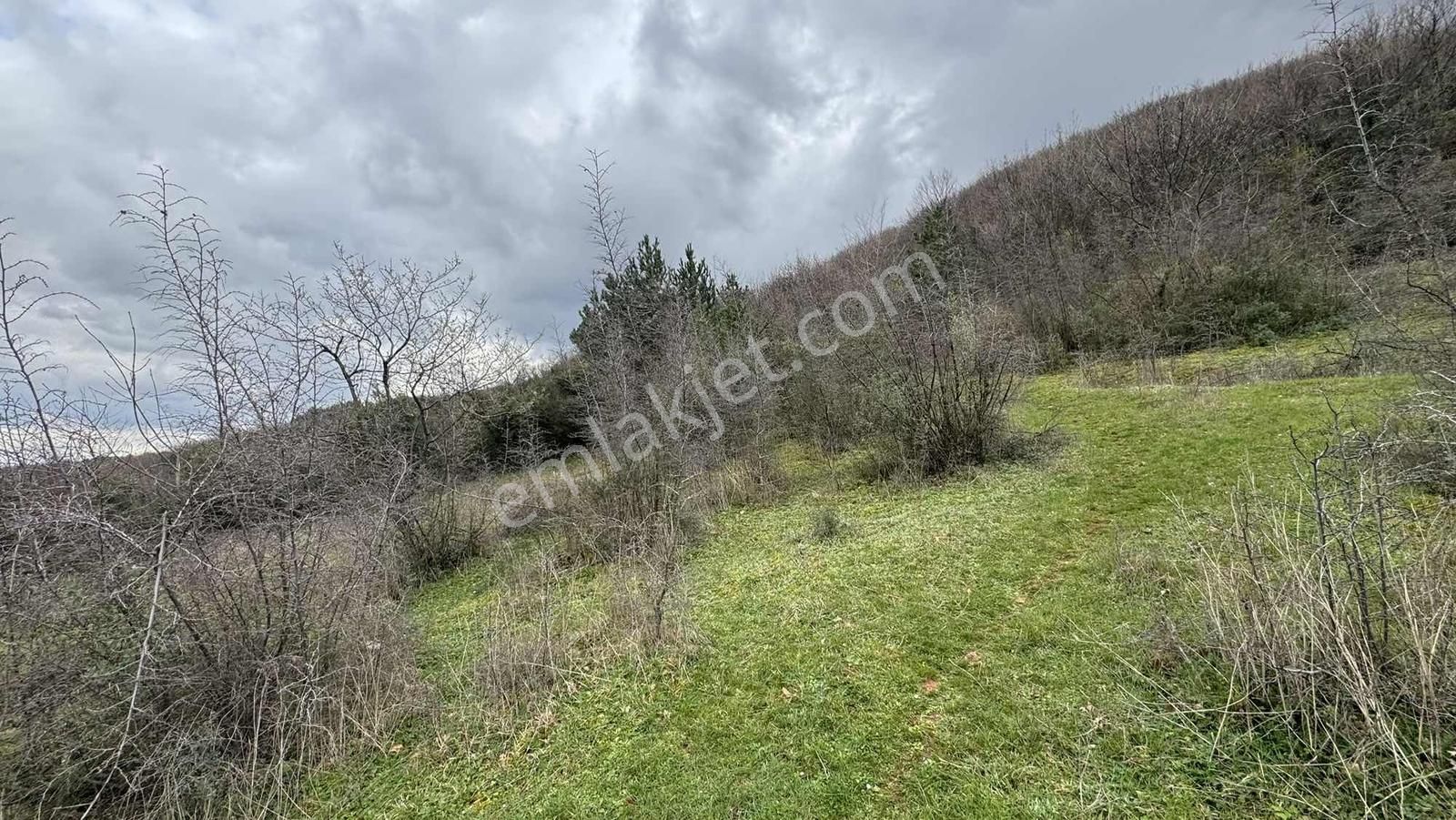 Alven Real Estate Şehir Merkezinde Manzaralı 332m2 Fırsat - Görsel 19