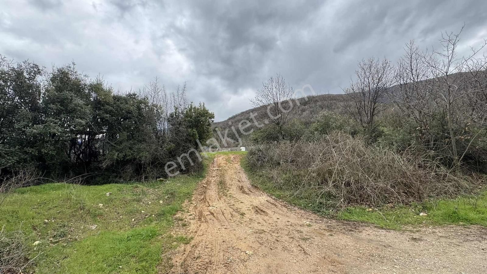 Alven Real Estate Şehir Merkezinde Manzaralı 332m2 Fırsat - Görsel 3