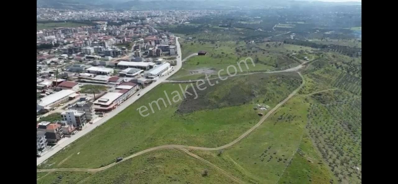 Lenora Gayrimenkül'den Seferihisar Sığacıkta Kaçırılmıyacak Yatırım Arazi - Görsel 3