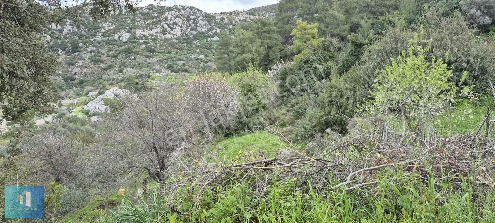 Sky'dan Marmaris Söğüt'te Satılık Arazi - Görsel 2