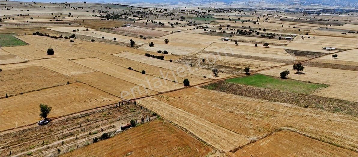 Korkuteli Büyükköyde 7362 M2 Satılık Tarla