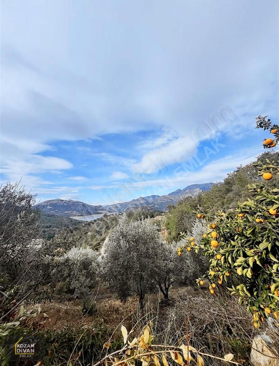 Kozan Divan Emlak'tan Gedikli'de Satılık 459 M2 Arsa - Görsel 12