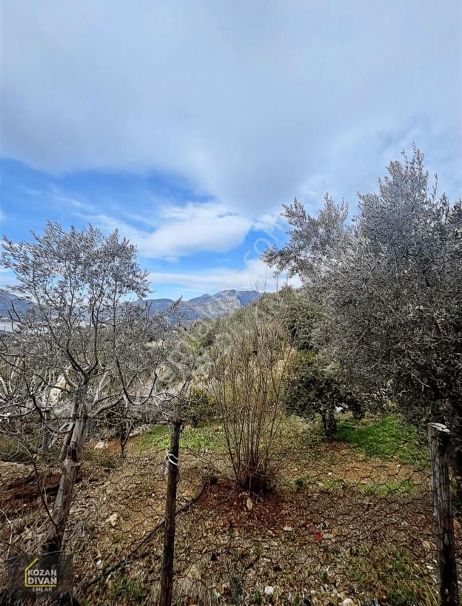 Kozan Divan Emlak'tan Gedikli'de Satılık 459 M2 Arsa - Görsel 13