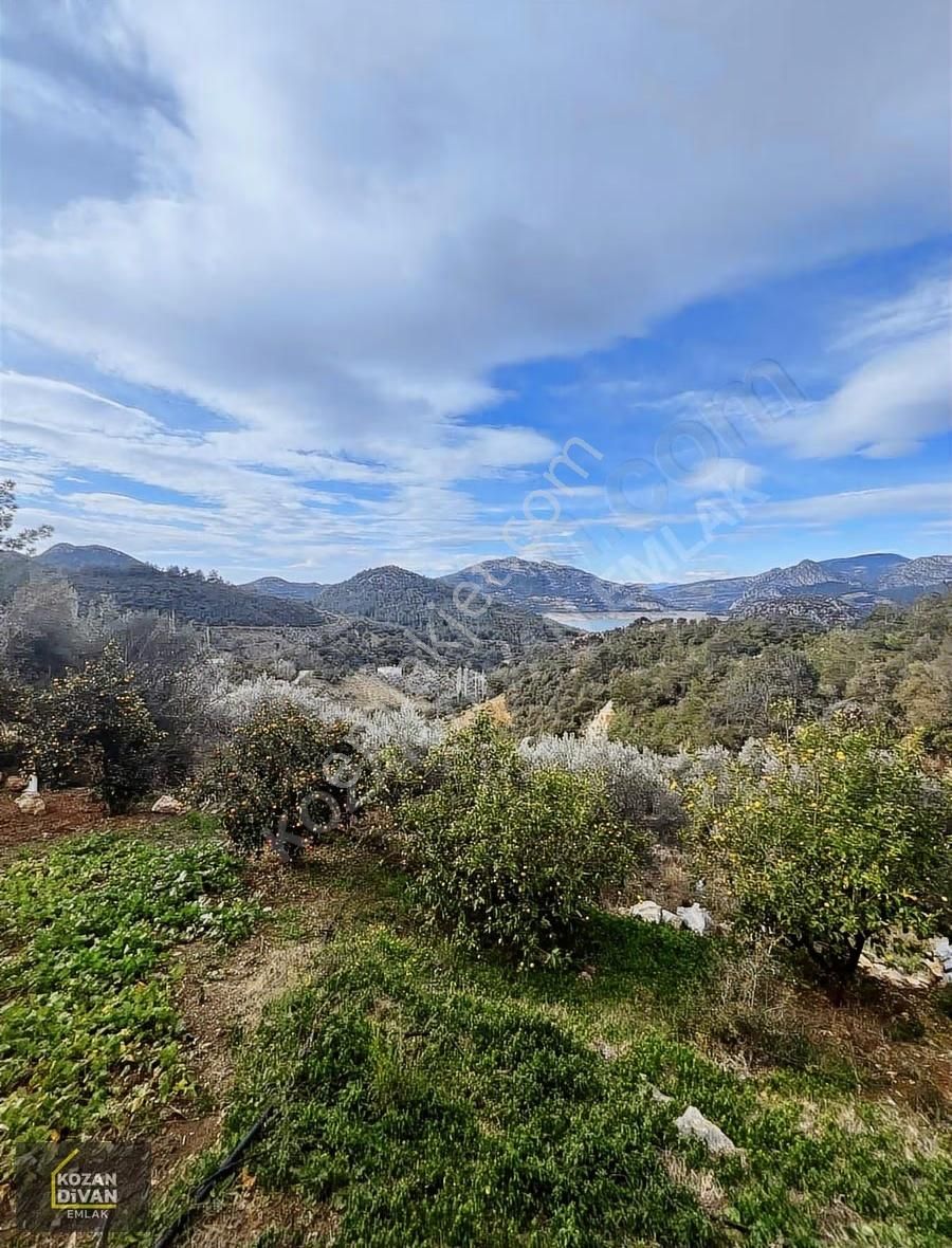 Kozan Divan Emlak'tan Gedikli'de Satılık 459 M2 Arsa - Görsel 3
