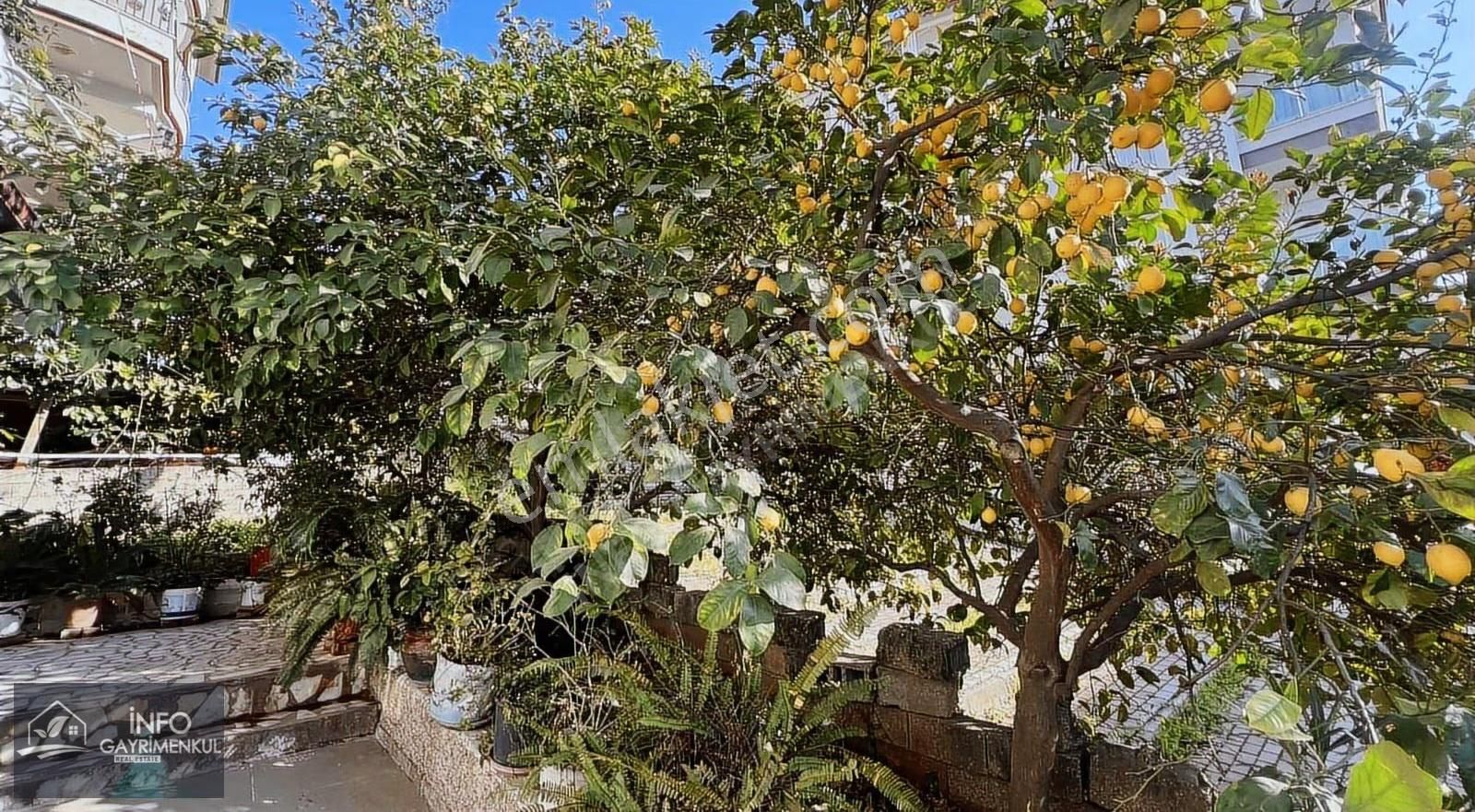 İnfo Gayrimenkulden 120m2 2+1 Kiralık Daire - Görsel 11