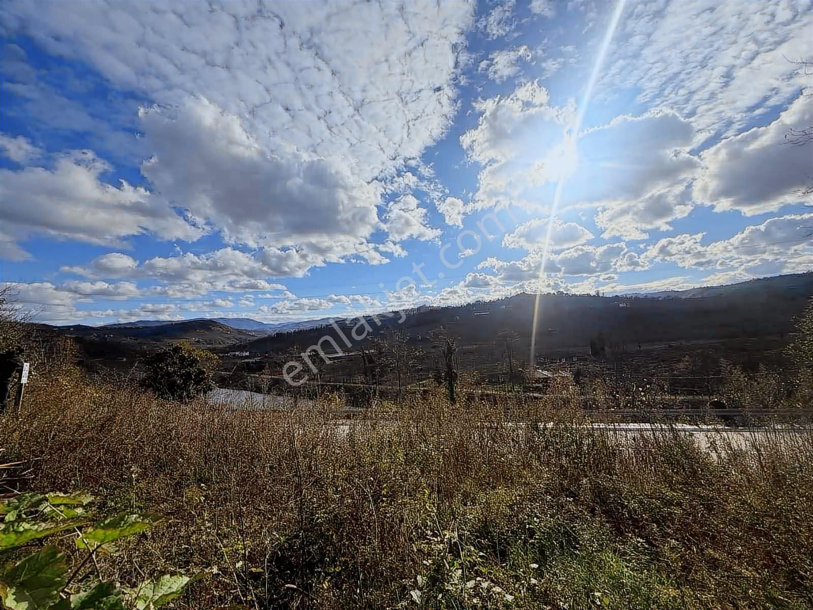 Reksa'dan Fatsa Kavrazmh.yola Cepheli 2.930m2 Satılık Bahçe - Görsel 8